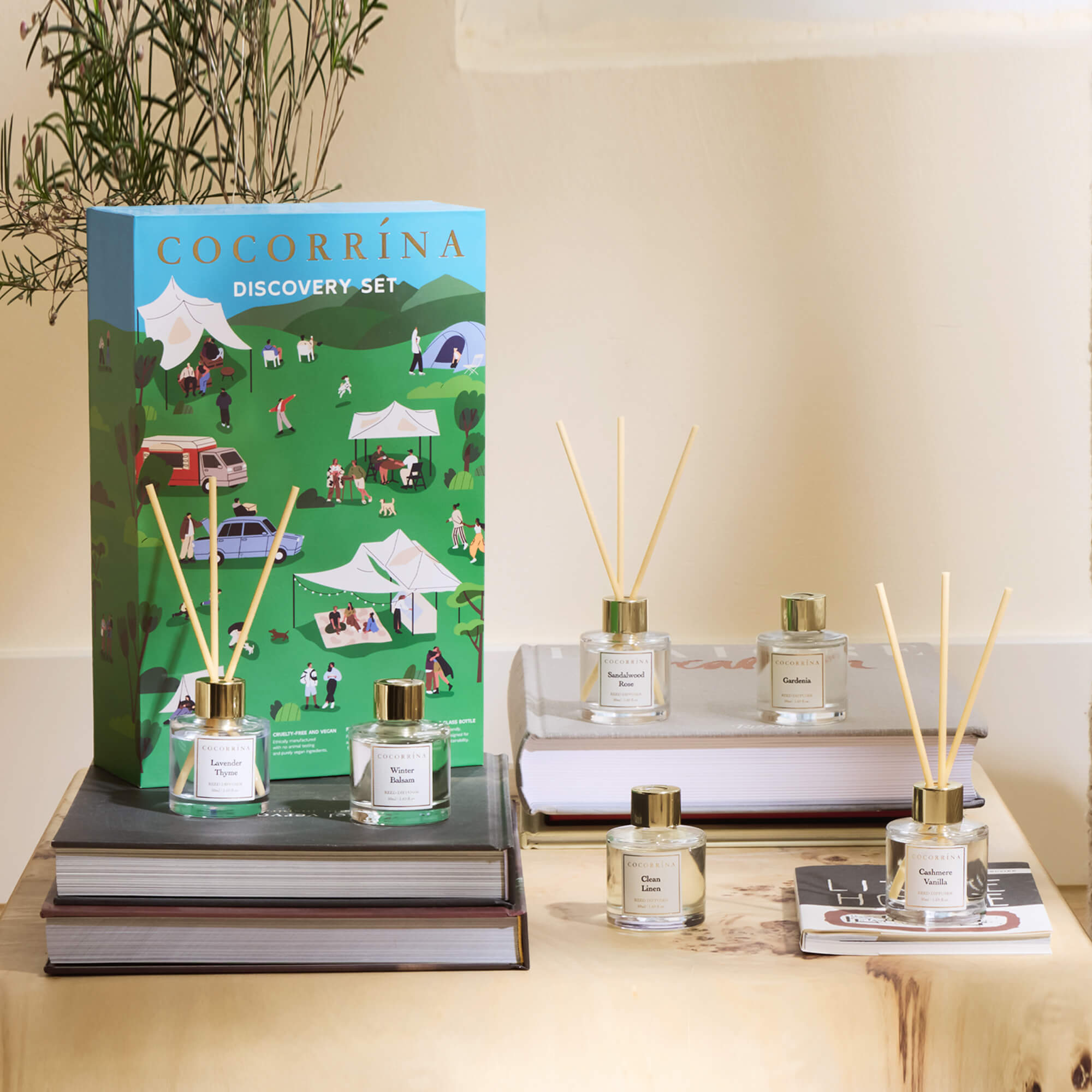 COCORRÍNA Discovery Set