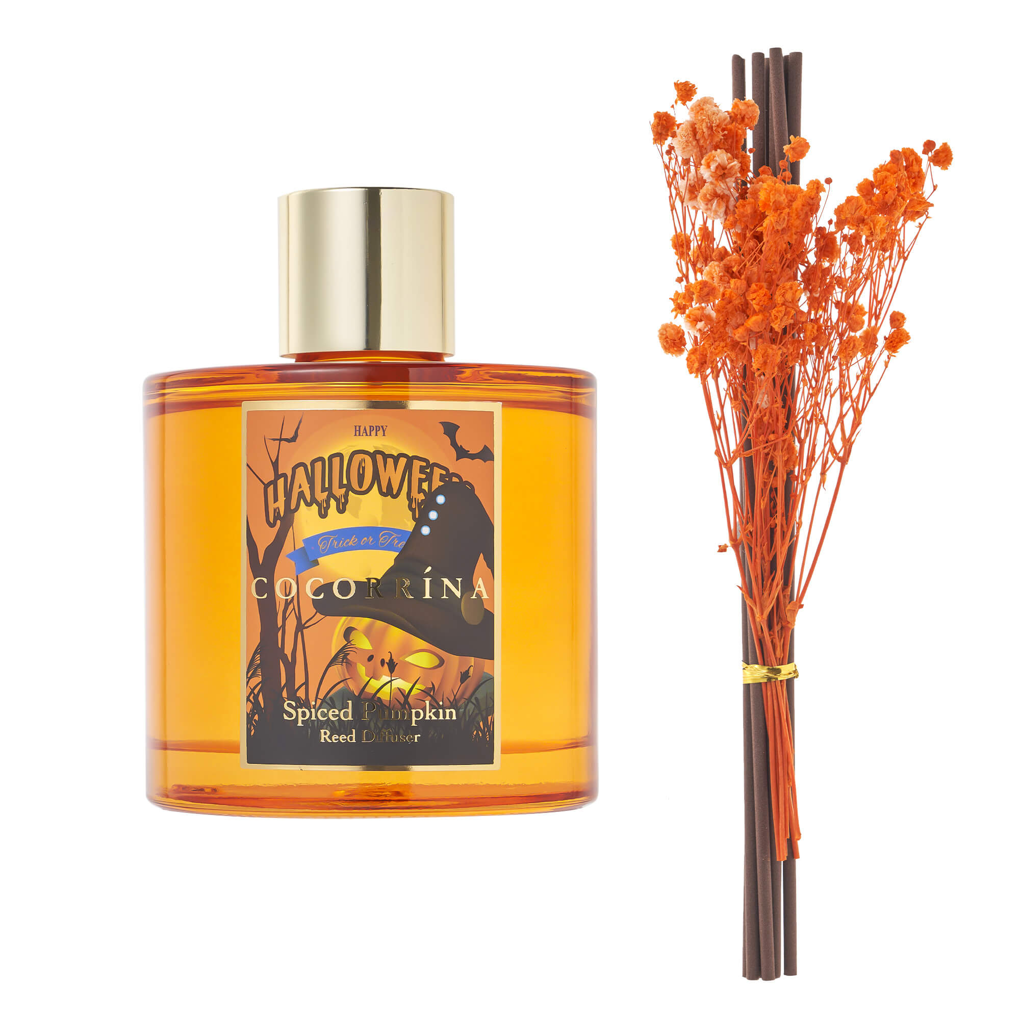 COCORRÍNA Spiced Pumpkin 6.76oz Scented Diffuser