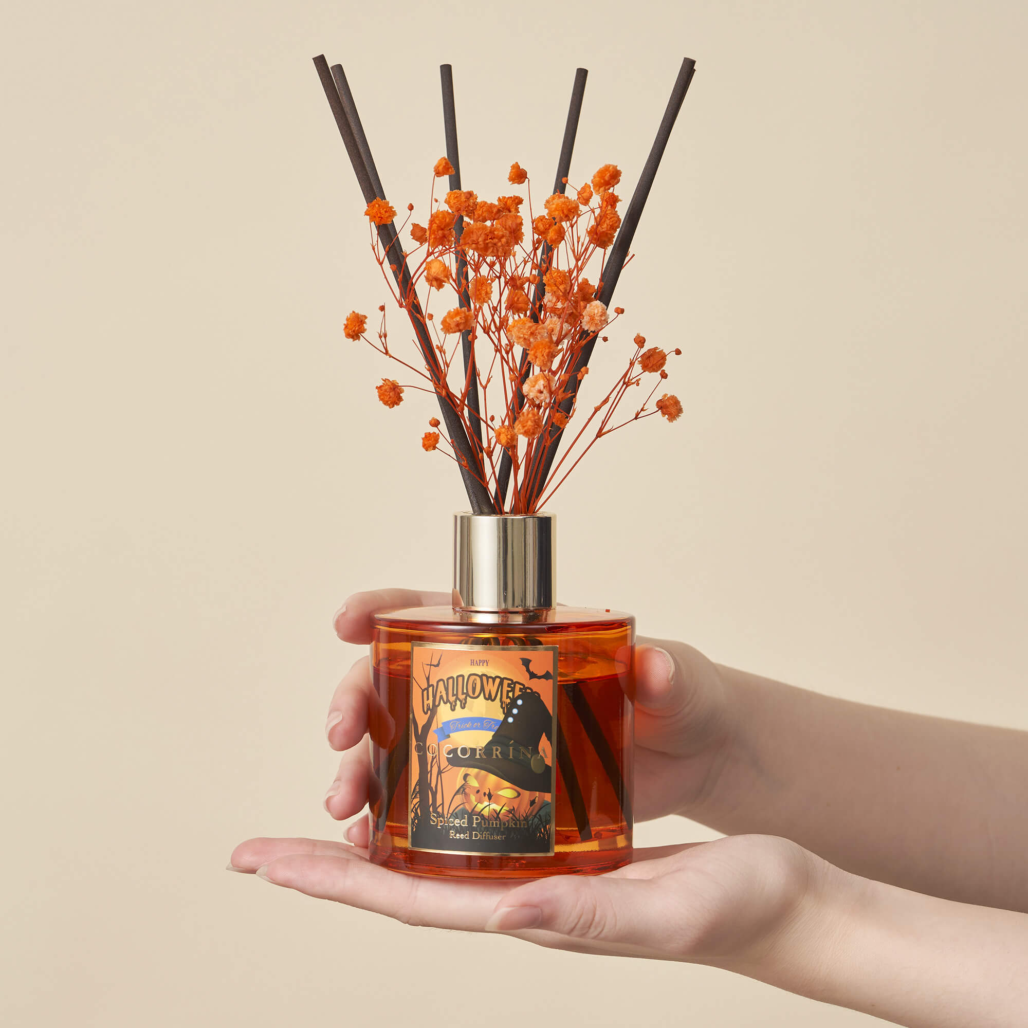 COCORRÍNA Spiced Pumpkin 6.76oz Scented Diffuser