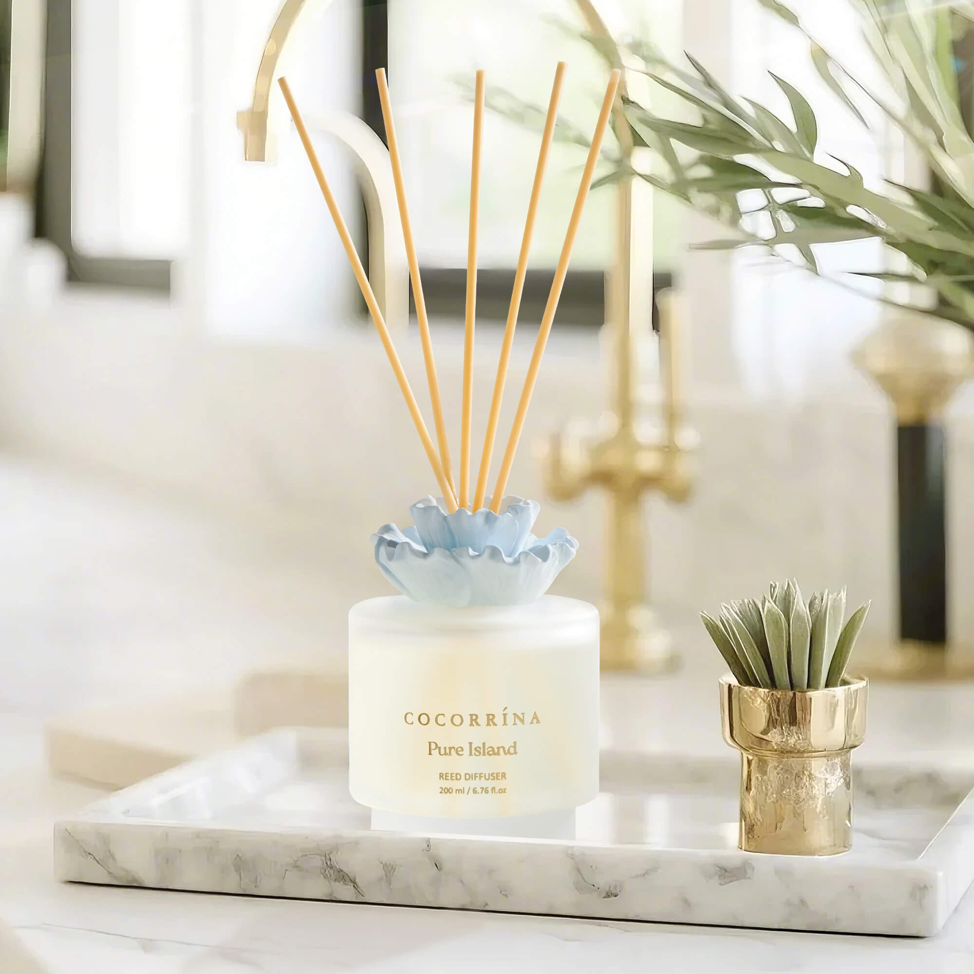 COCORRÍNA Gypsum Flower Pure Island Reed Diffuser