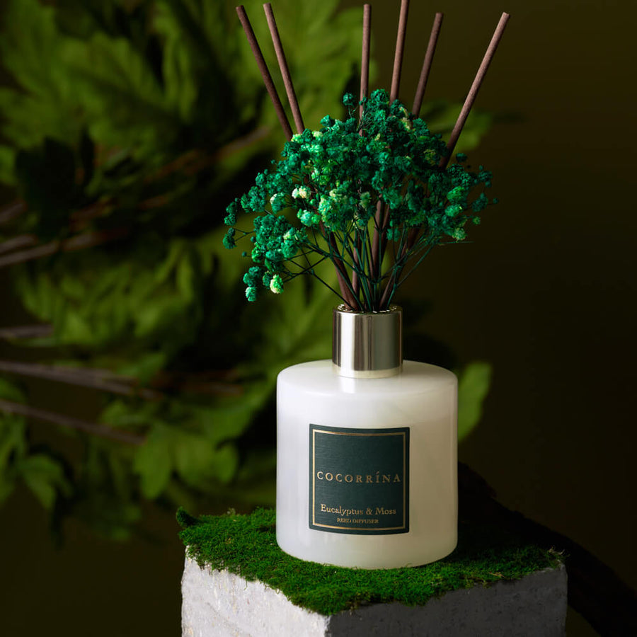 Cocorrína Apple Cider Reed Diffuser Set w Preserved Baby's Breath