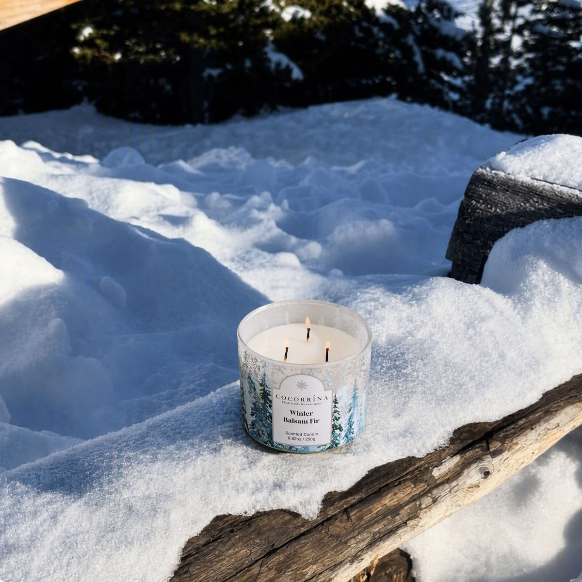 COCORRÍNA 8.8 oz Winter Balsam Candle（Pre-Order）