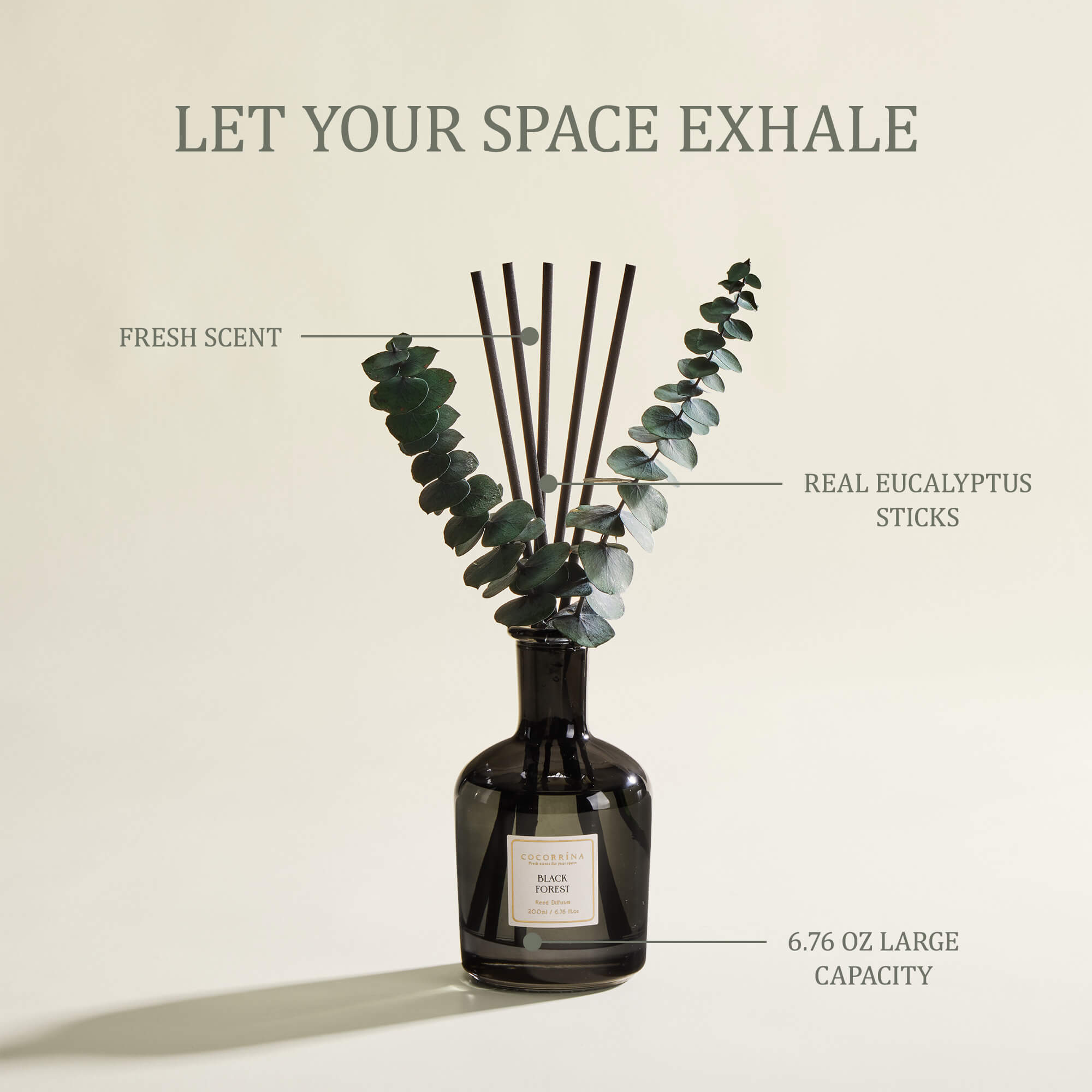 COCORRÍNA Black Forest Reed Diffuser Set