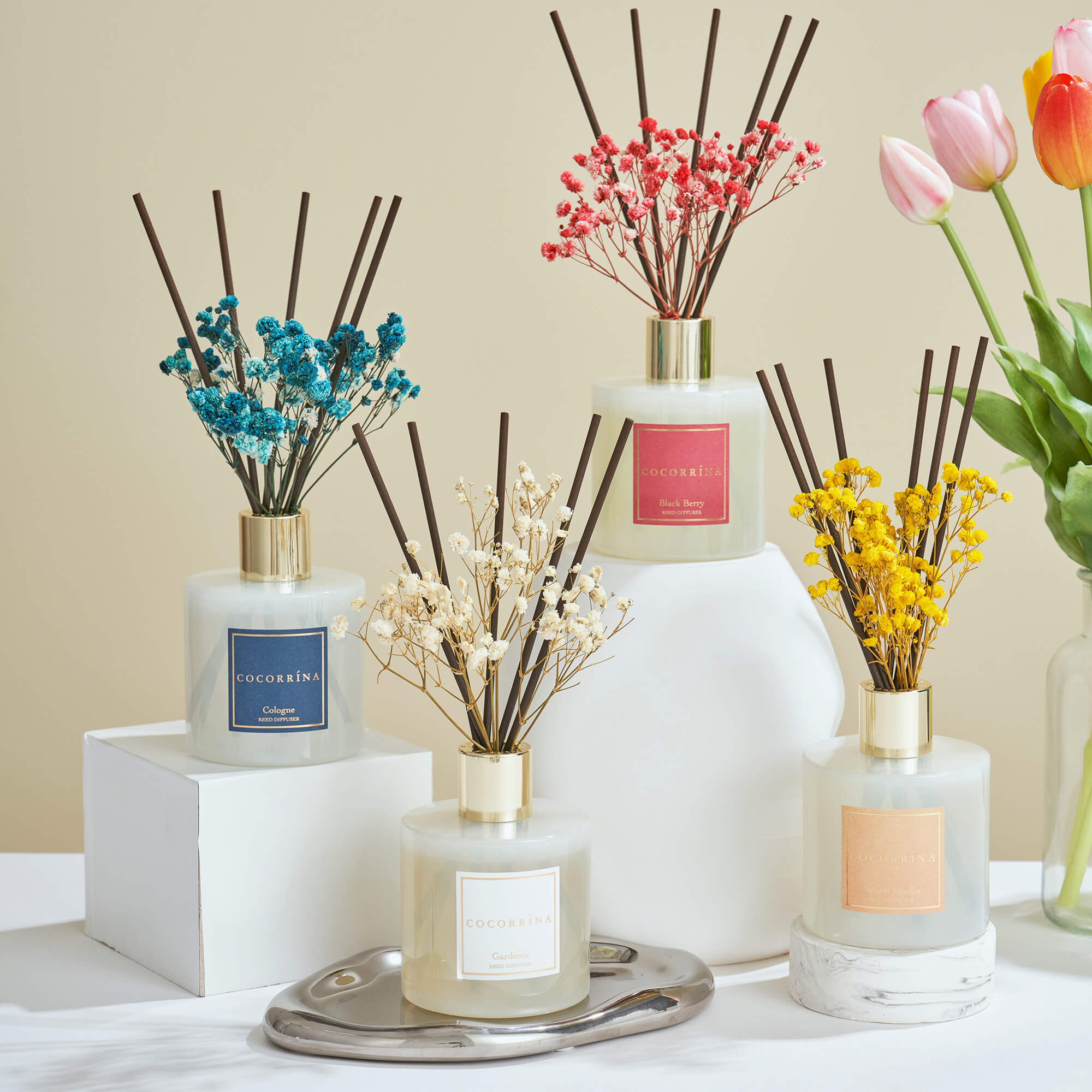 COCORRÍNA Cologne Reed Diffuser Set