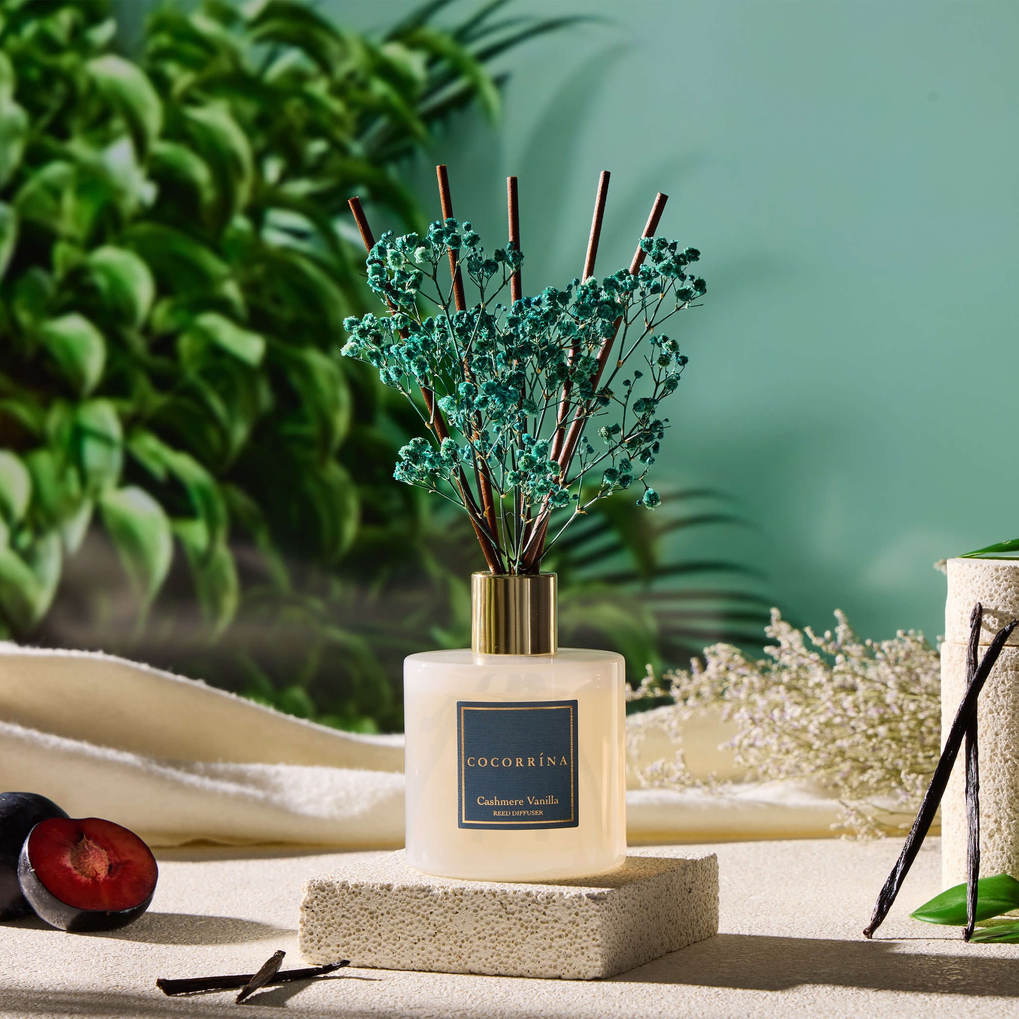 Cocorrína Cashmere Vanilla Reed Diffuser Set