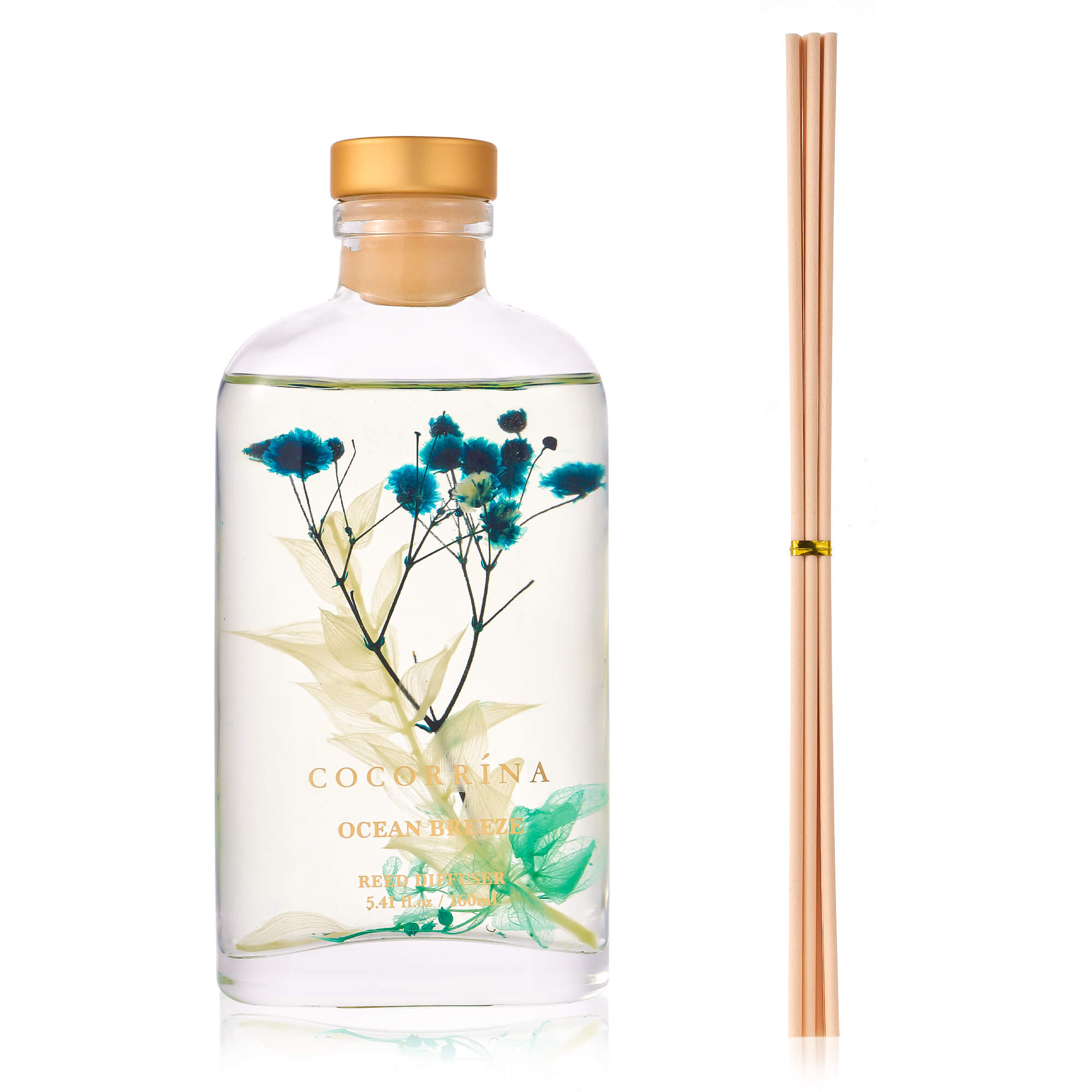 COCORRÍNA Ocean Breeze Scented Blooms Series Reed Diffuser Set