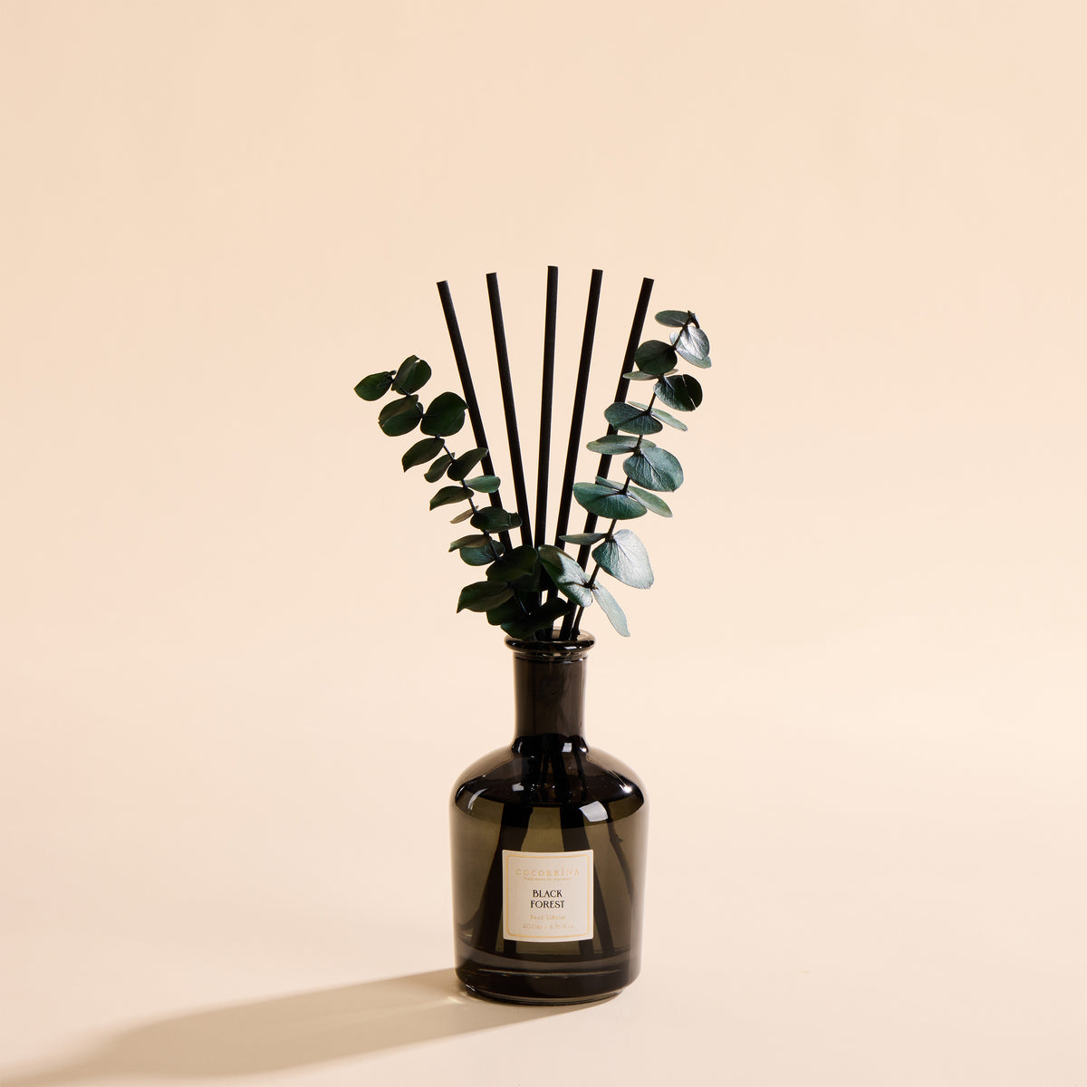 COCORRÍNA Black Forest Reed Diffuser Set