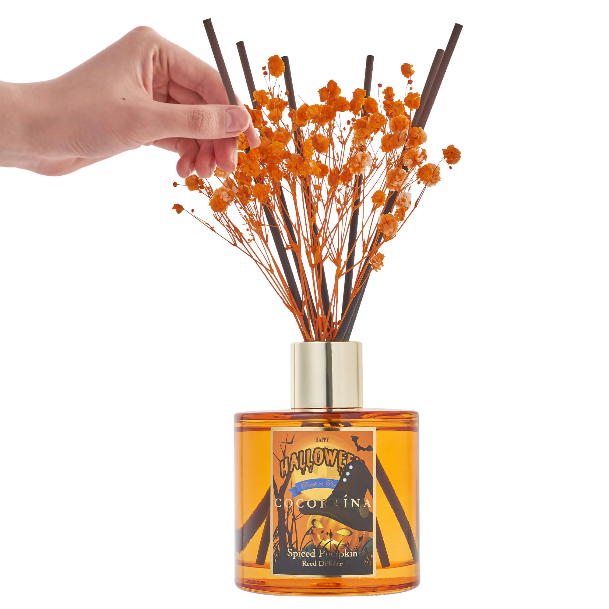 COCORRÍNA Spiced Pumpkin 6.76oz Scented Diffuser