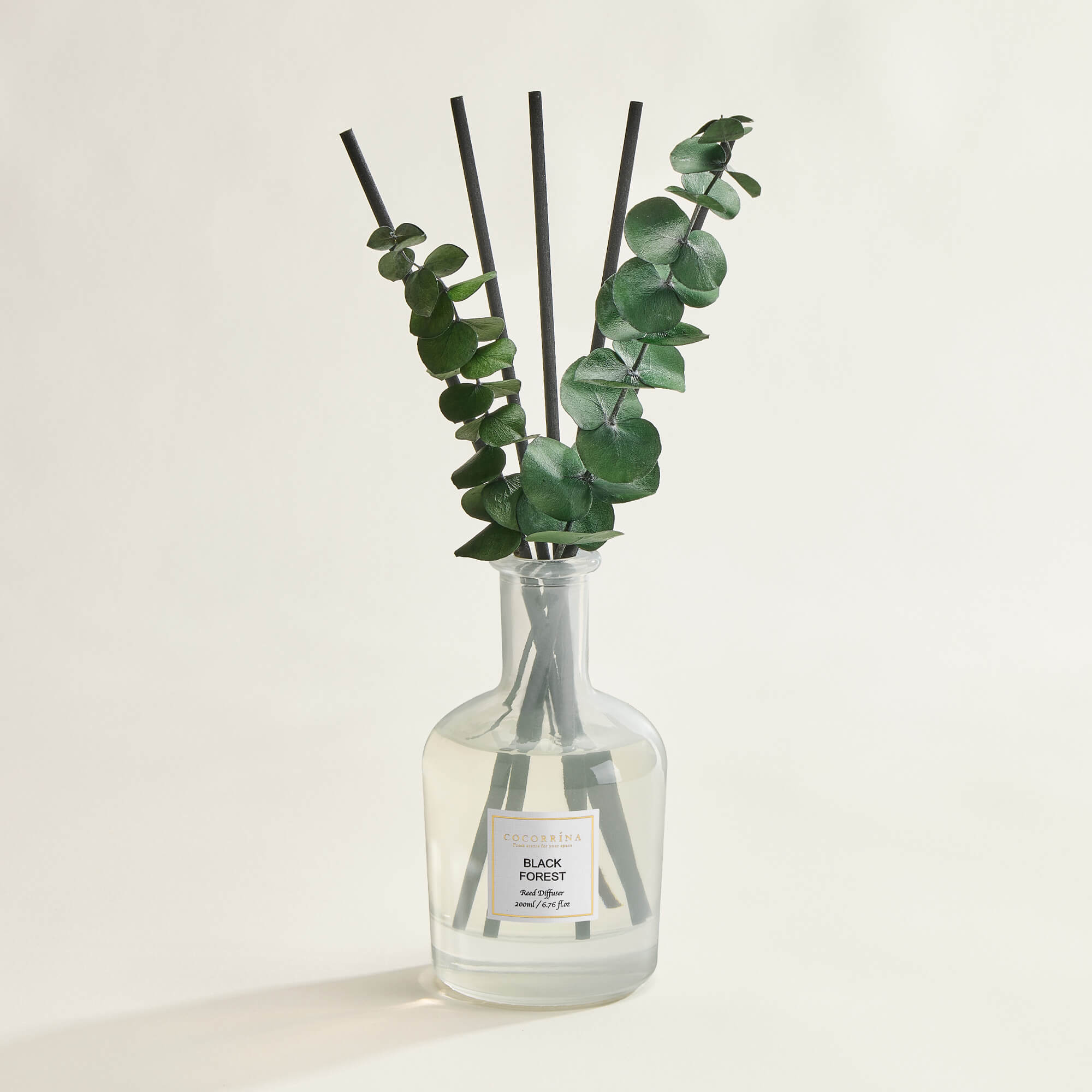 COCORRÍNA Black Forest Reed Diffuser Set