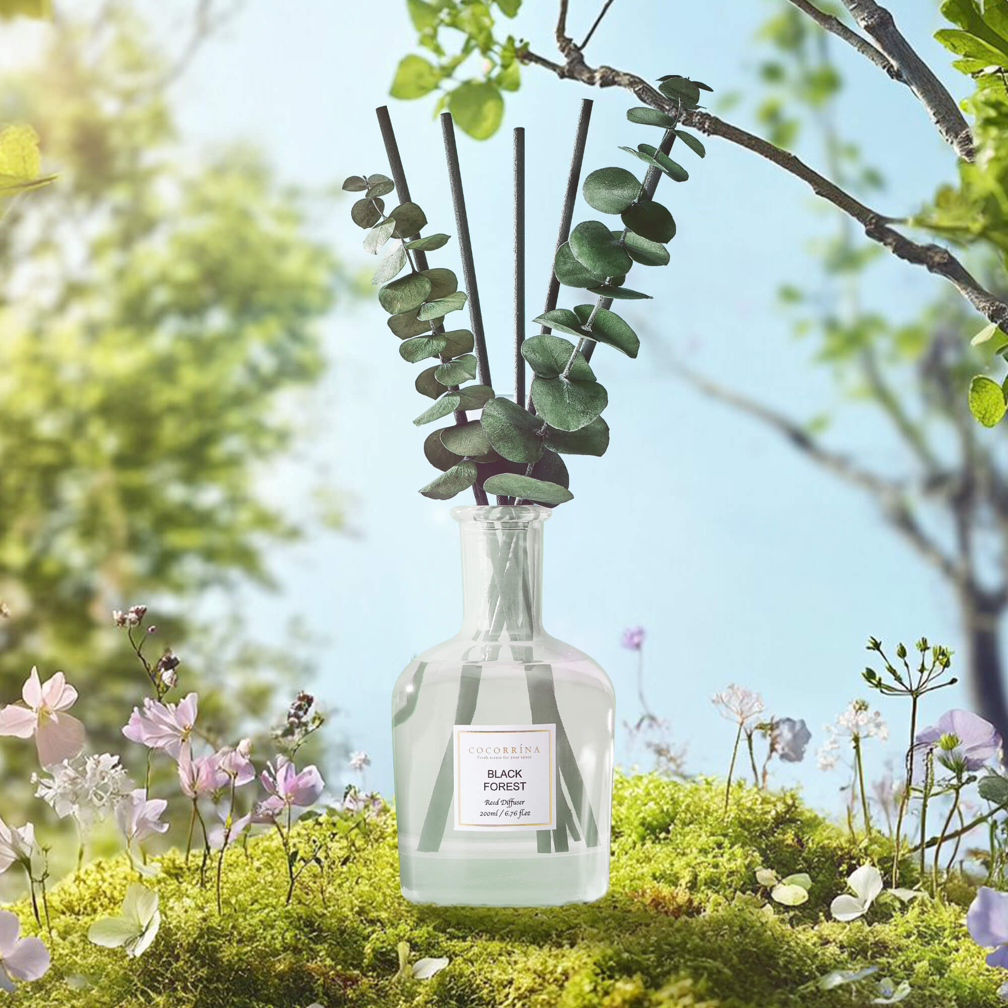 COCORRÍNA Black Forest Reed Diffuser Set