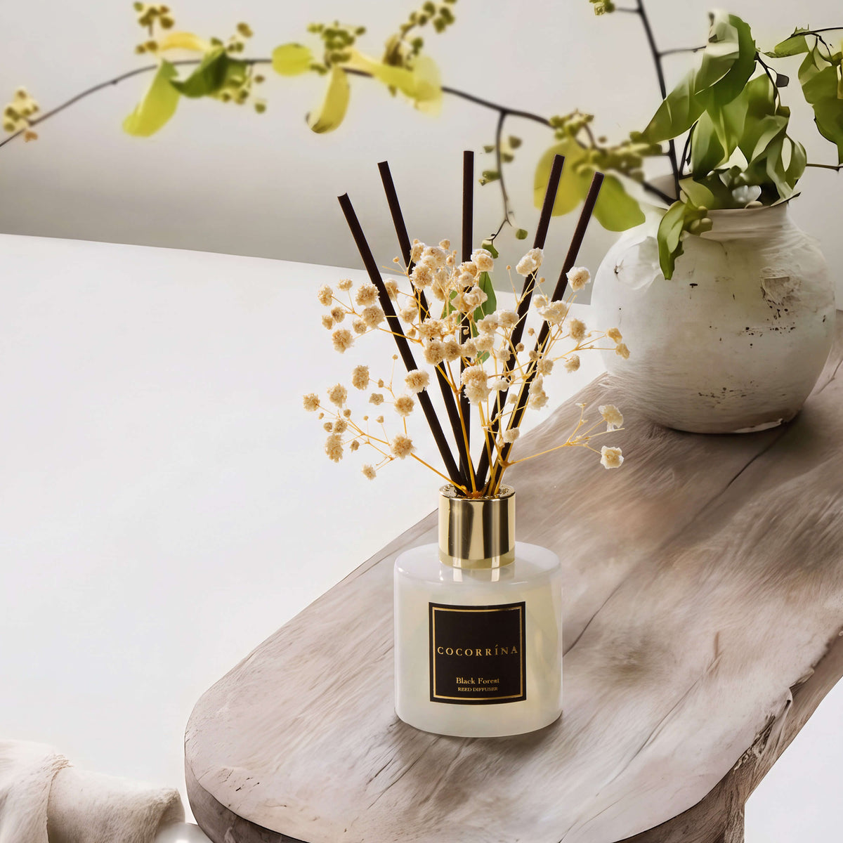 COCORRÍNA Black Forest Reed Diffuser Set