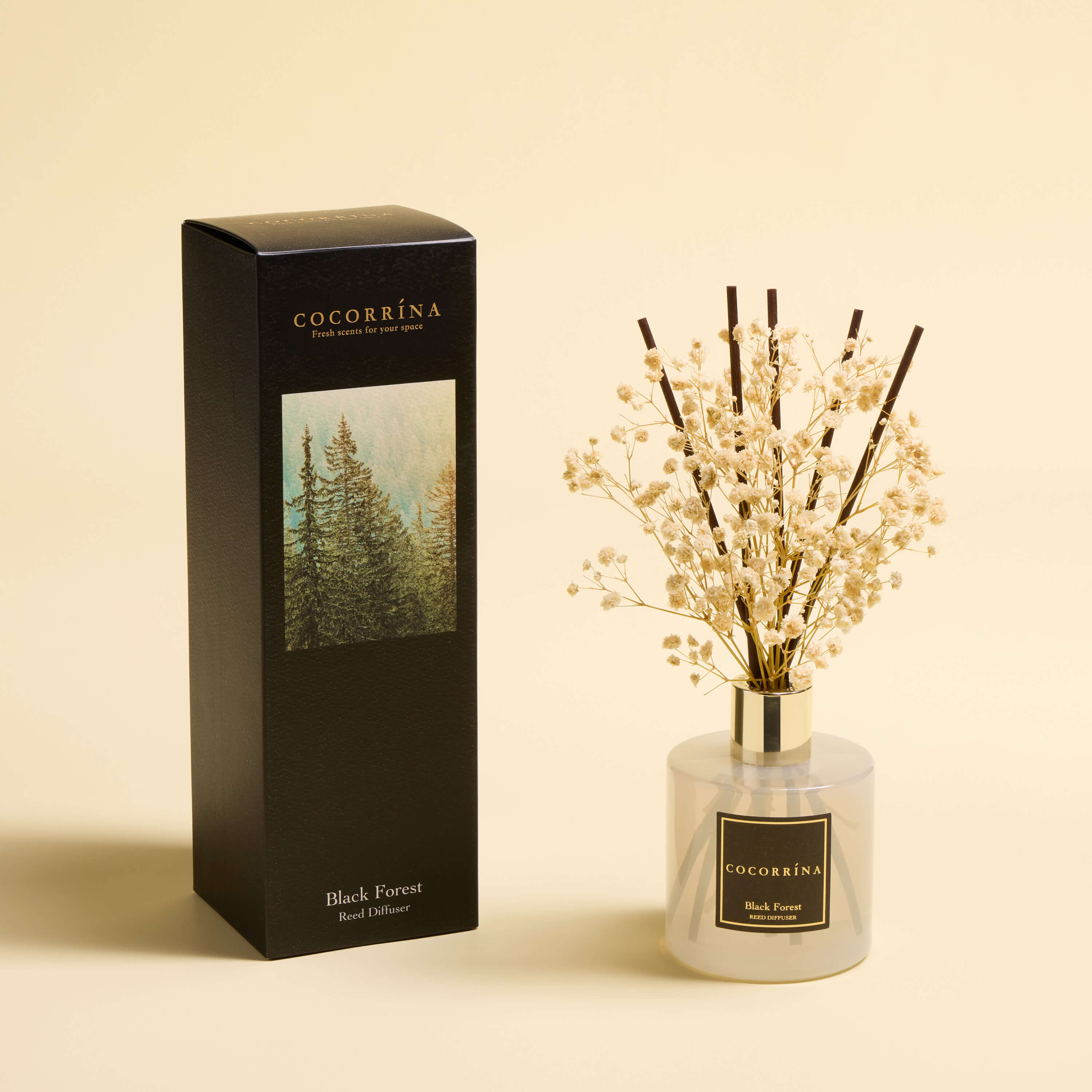 COCORRÍNA Schwarzwald-Diffusor-Set mit Rattanstäbchen