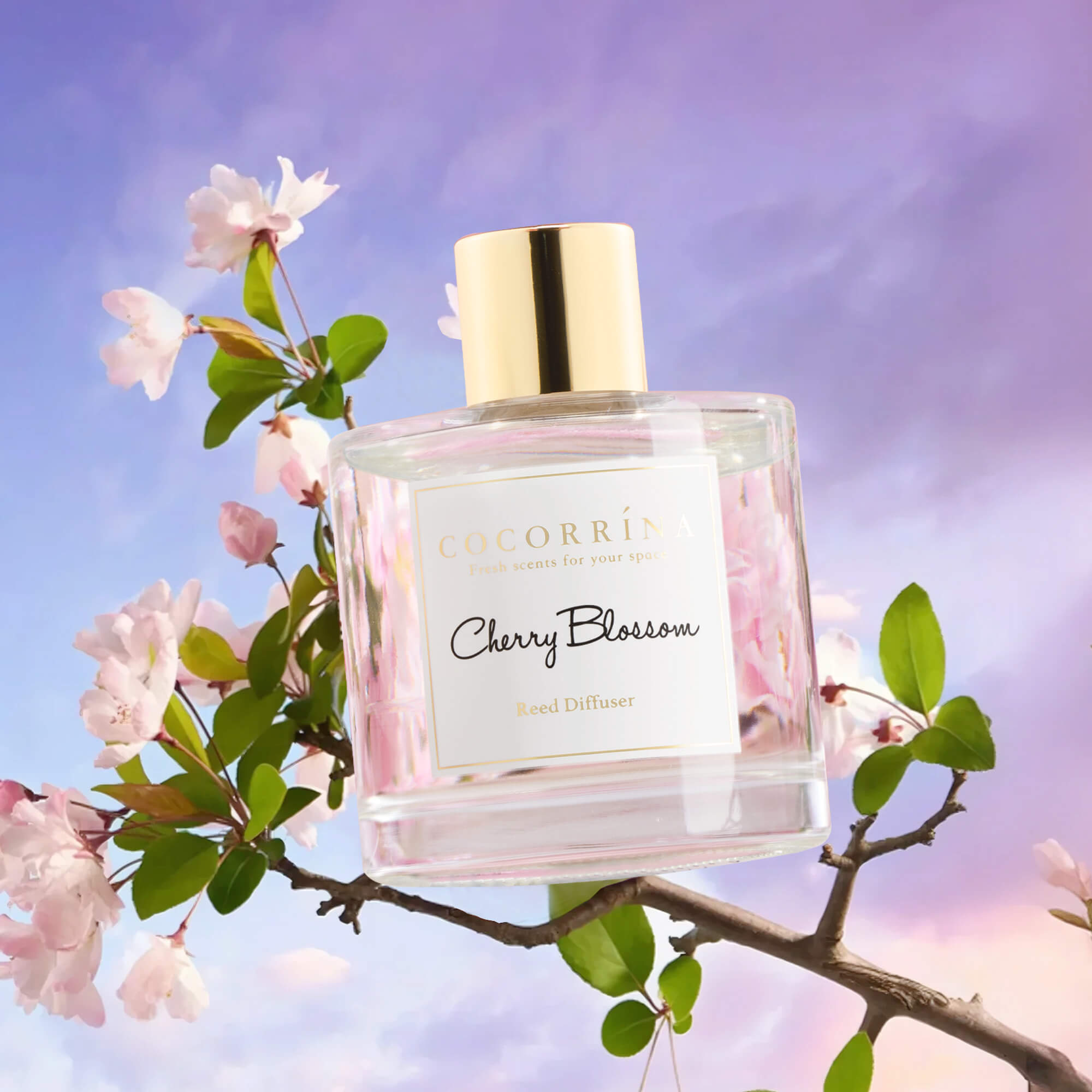 COCORRÍNA Cherry Blossom Reed Diffuser Set
