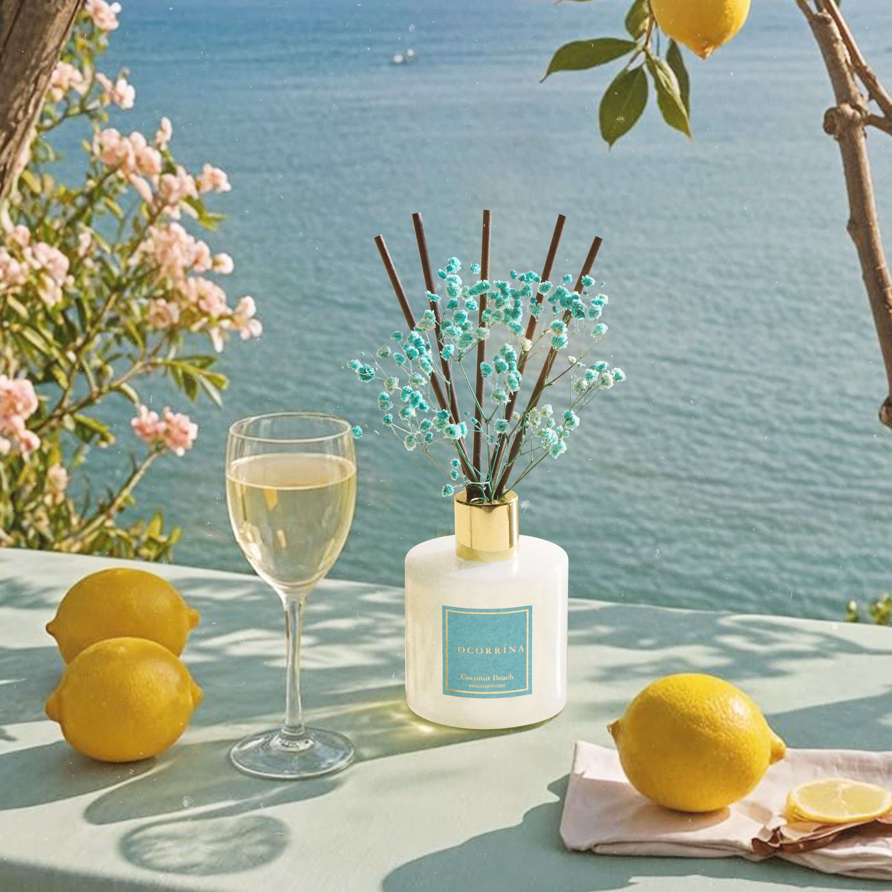 COCORRÍNA Coconut Beach Reed Diffuser Set