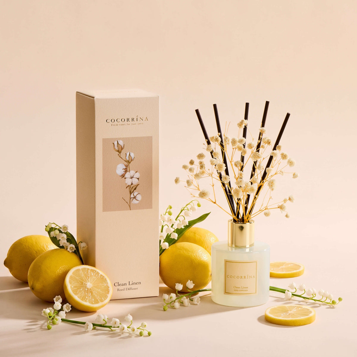 COCORRÍNA Set Difusor de Carrizos Clean Linen