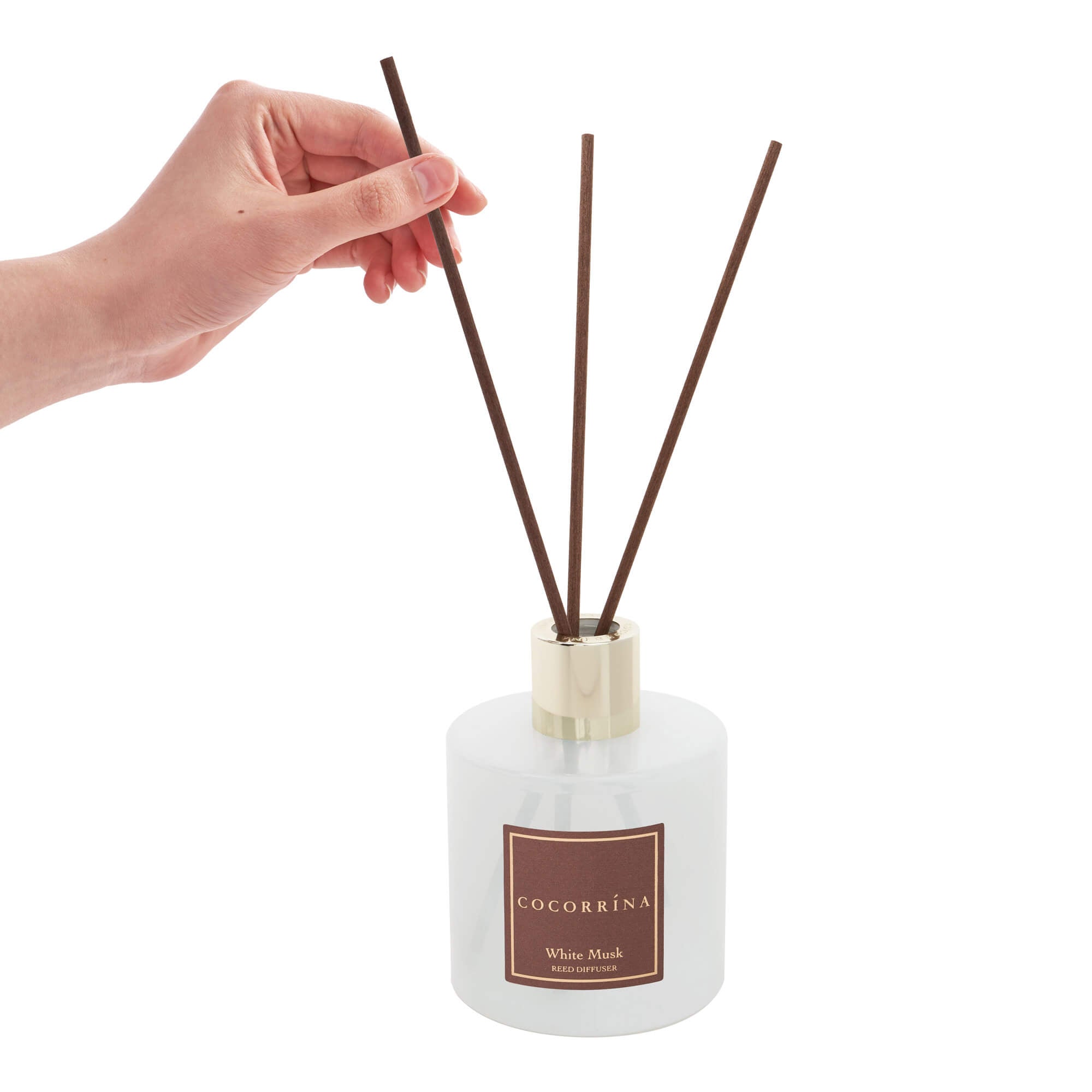 COCORRÍNA White Musk Reed Diffusor-Set