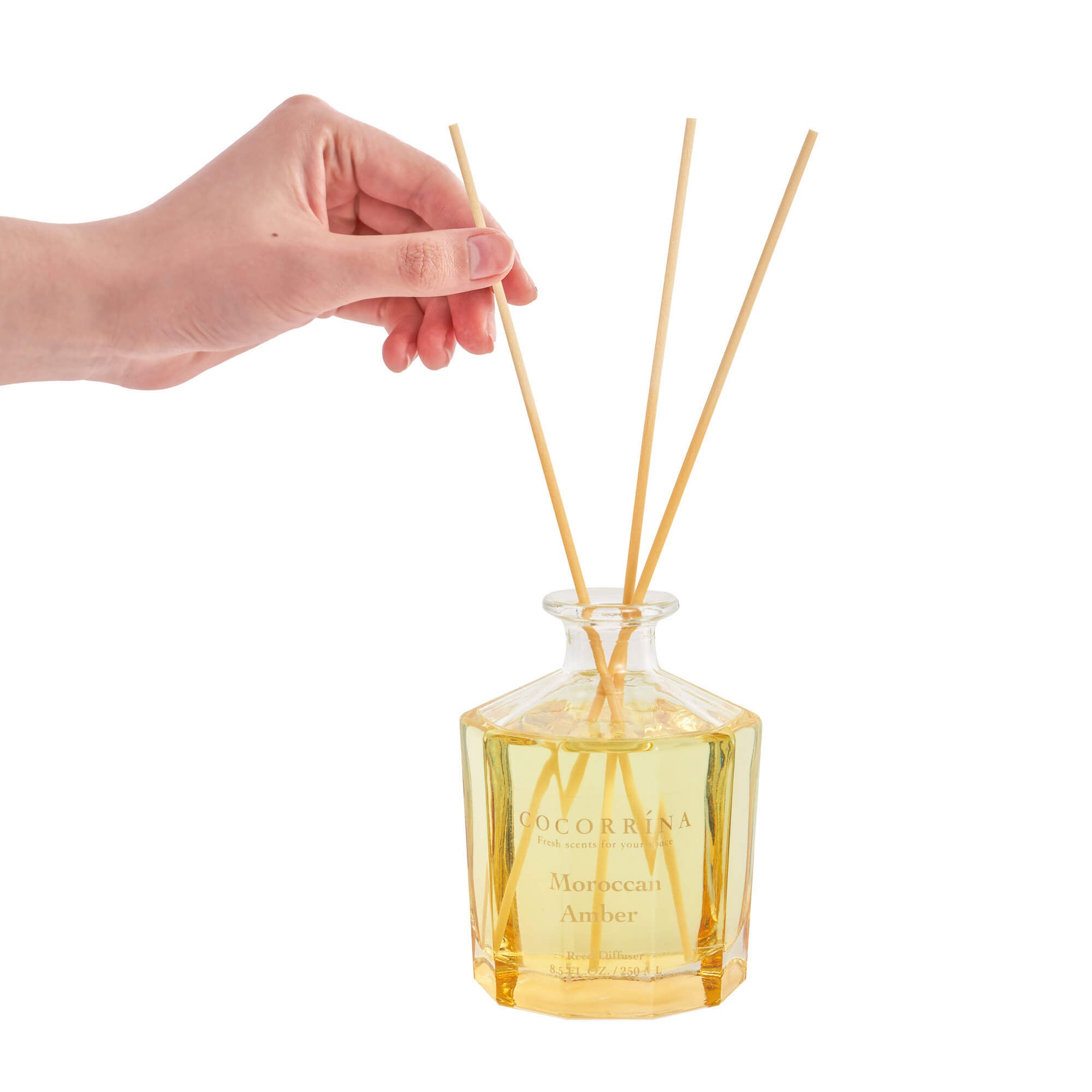COCORRÍNA Moroccan Amber Master Flower Reed Diffuser Set