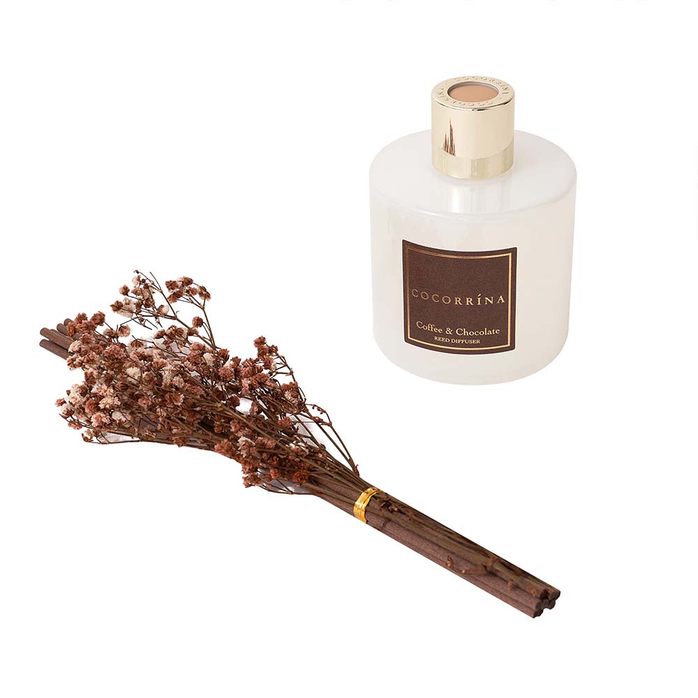COCORRÍNA Chocolate-Flavored Coffee Reed Diffuser Set