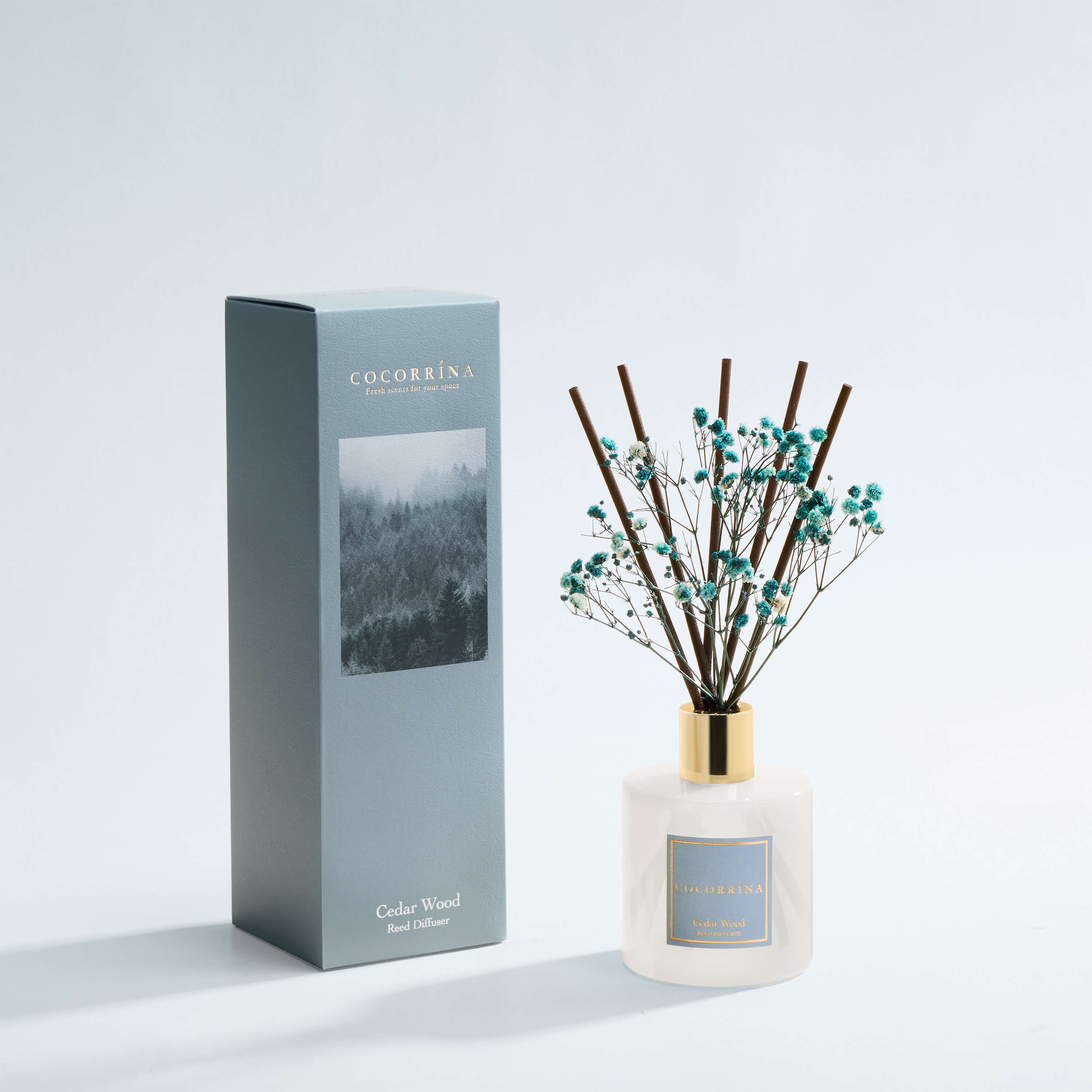 COCORRÍNA Cedar Wood Reed Diffuser Set