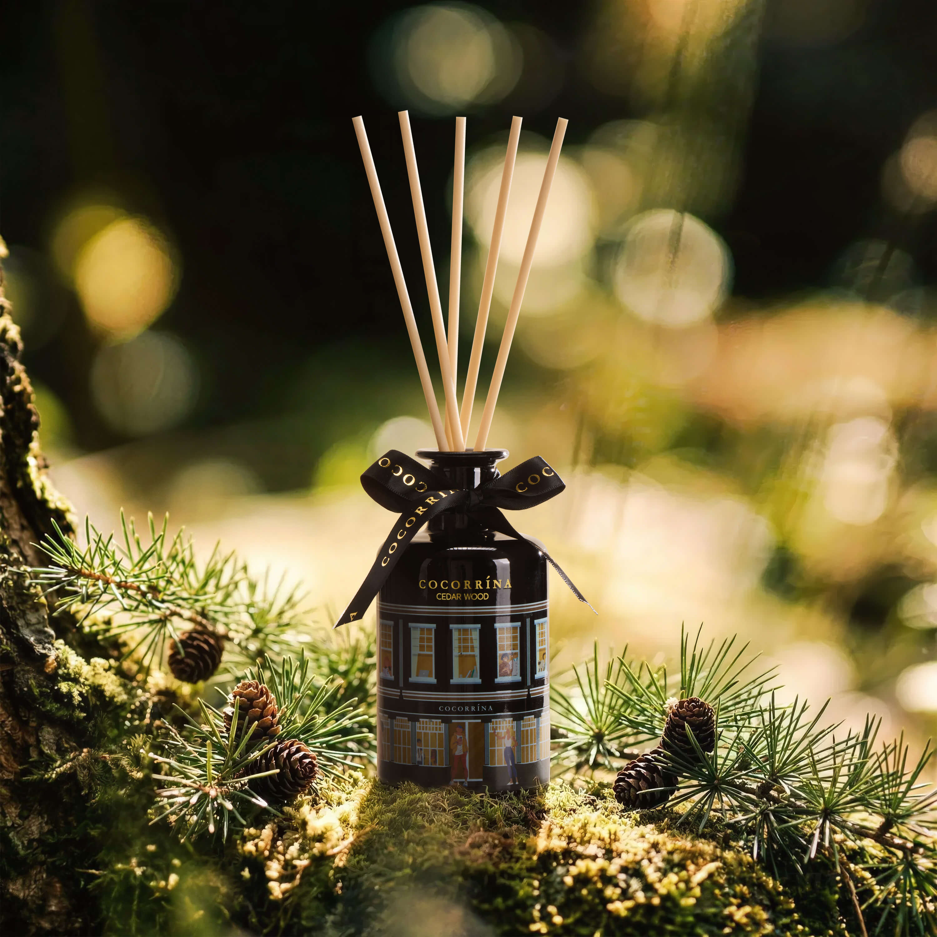 COCORRÍNA Cedar Wood House Shape Reed Diffuser Set