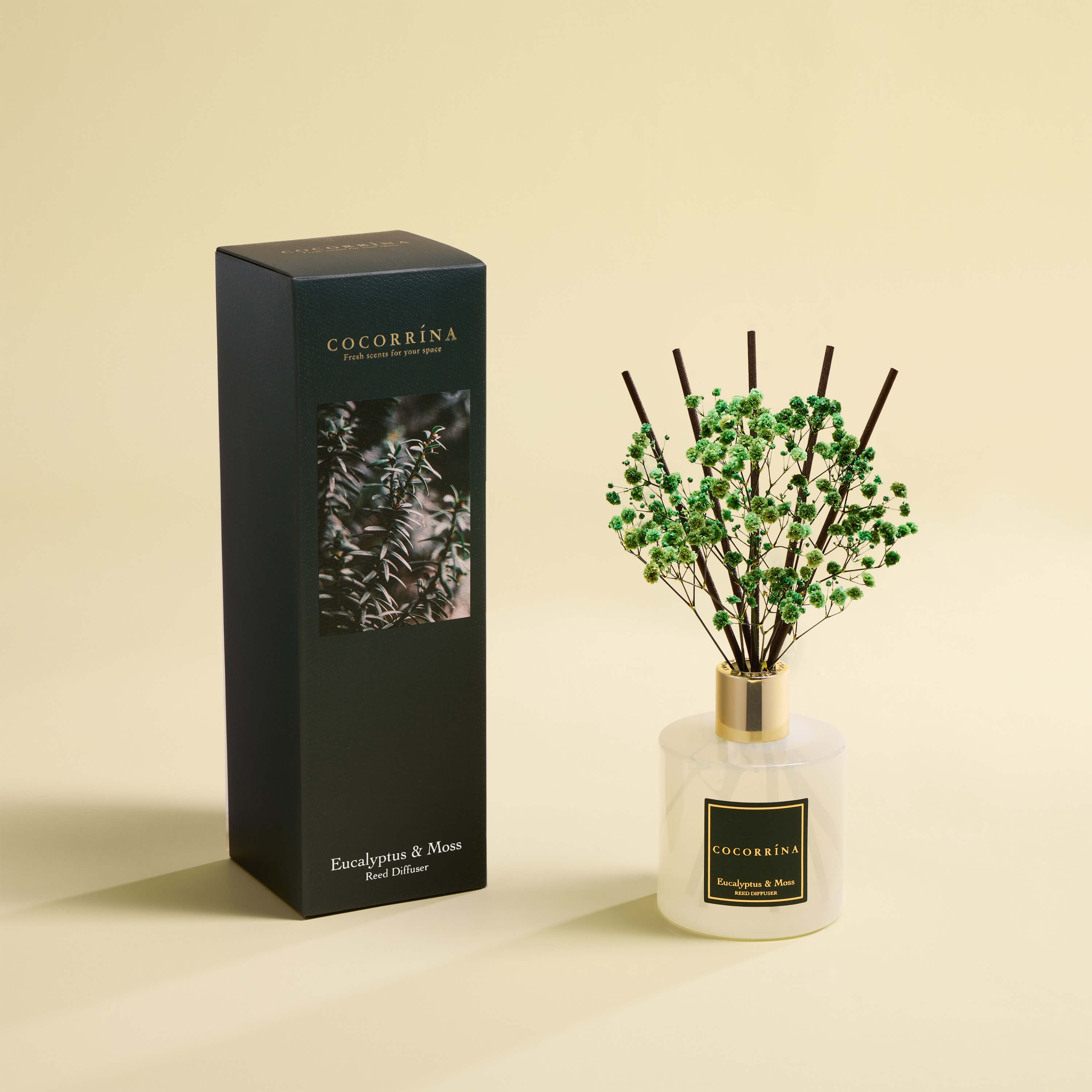 COCORRÍNA Eucalyptus Moss Reed Diffuser Set