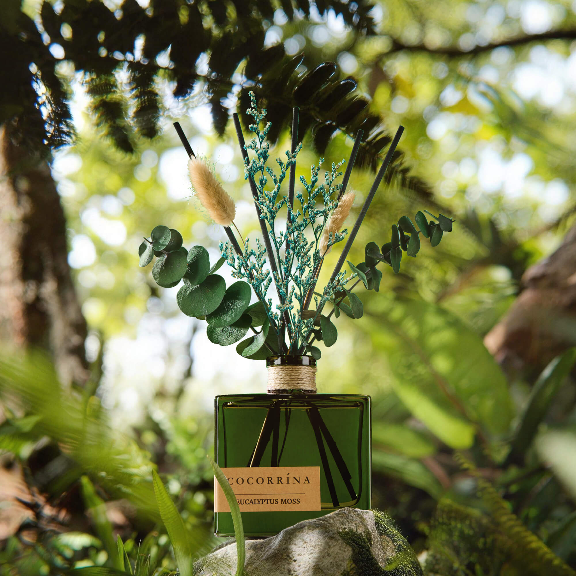 COCORRÍNA Eucalyptus Moss Reed Diffuser Set