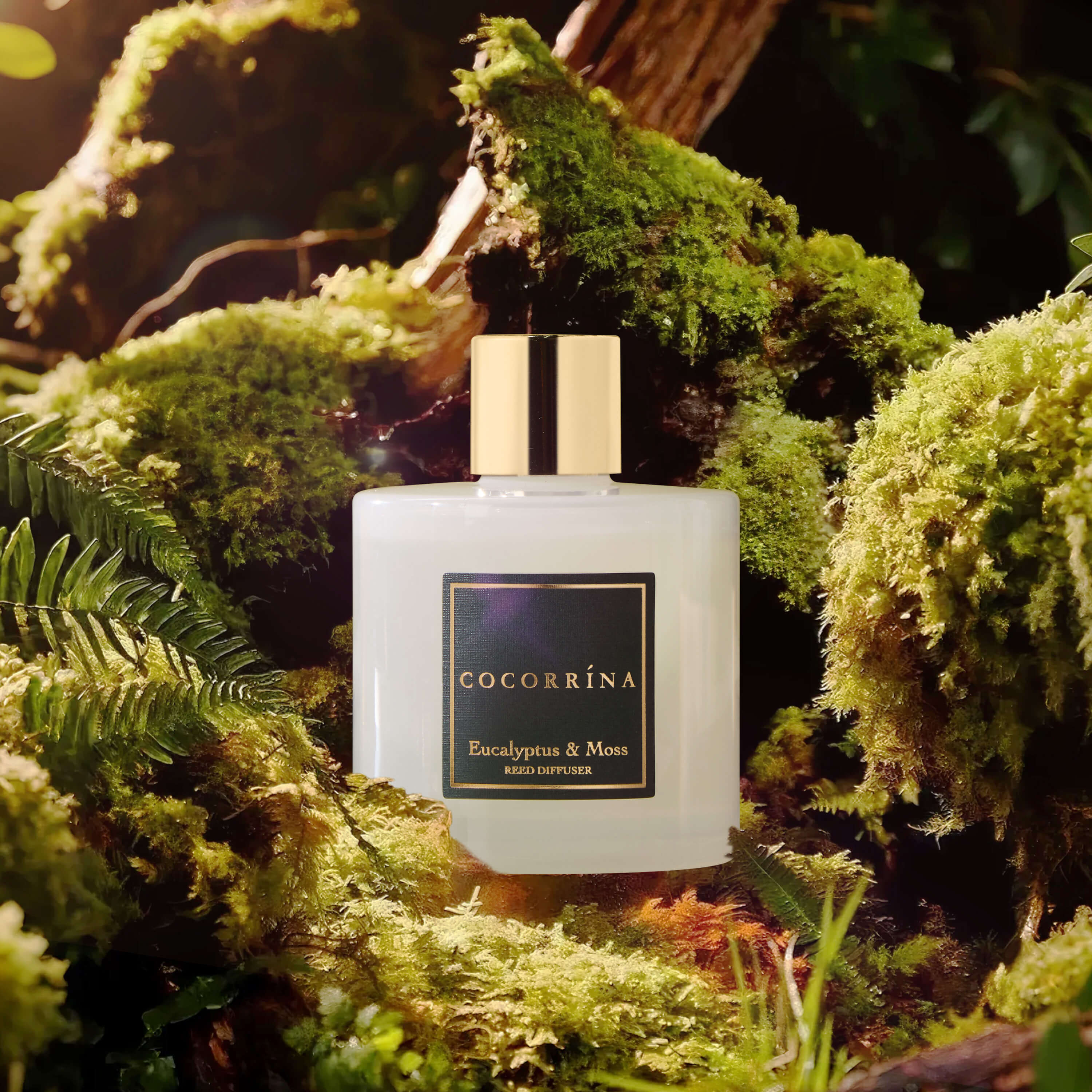 COCORRÍNA Eucalyptus Moss Reed Diffuser Set