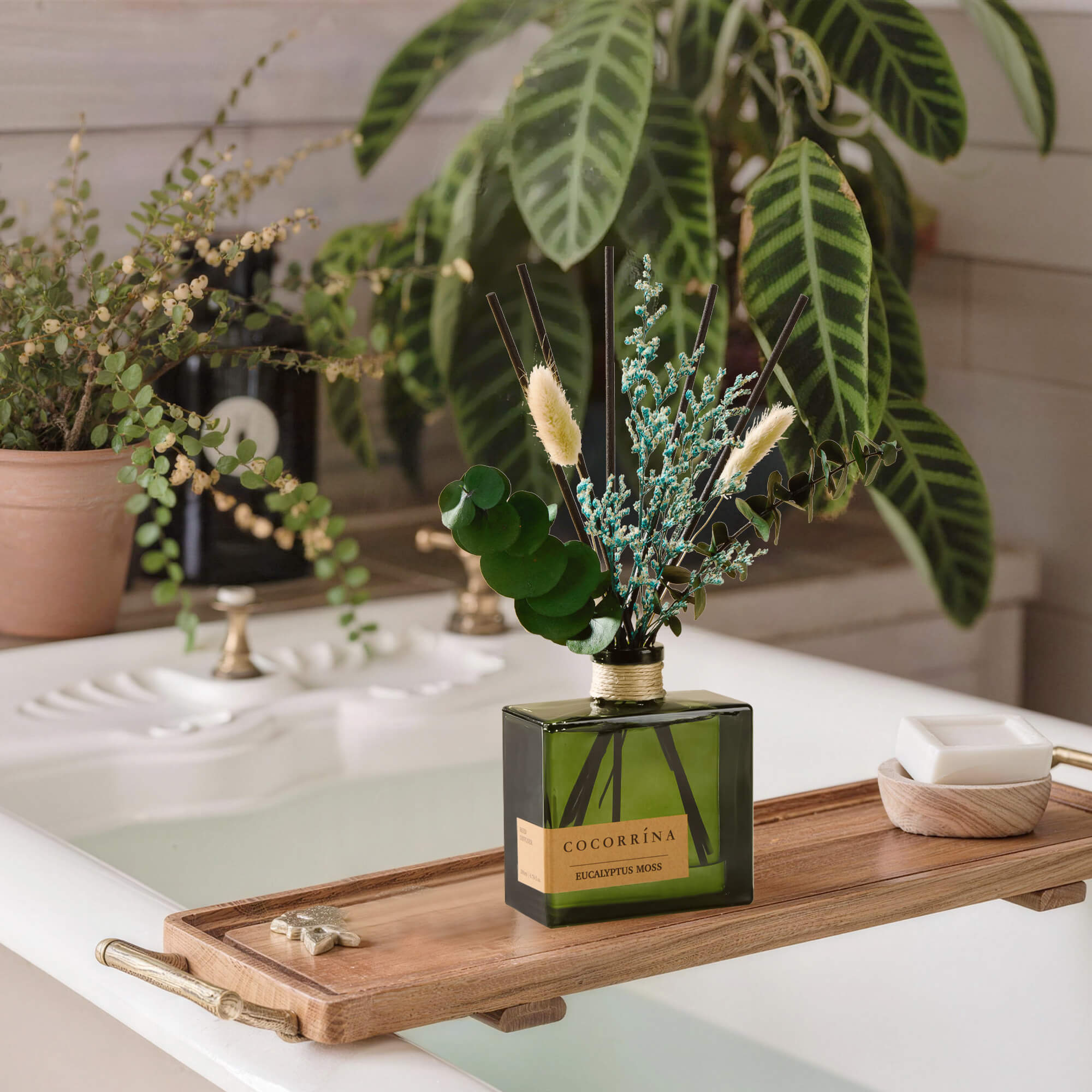 COCORRÍNA Eucalyptus Moss Reed Diffuser Set