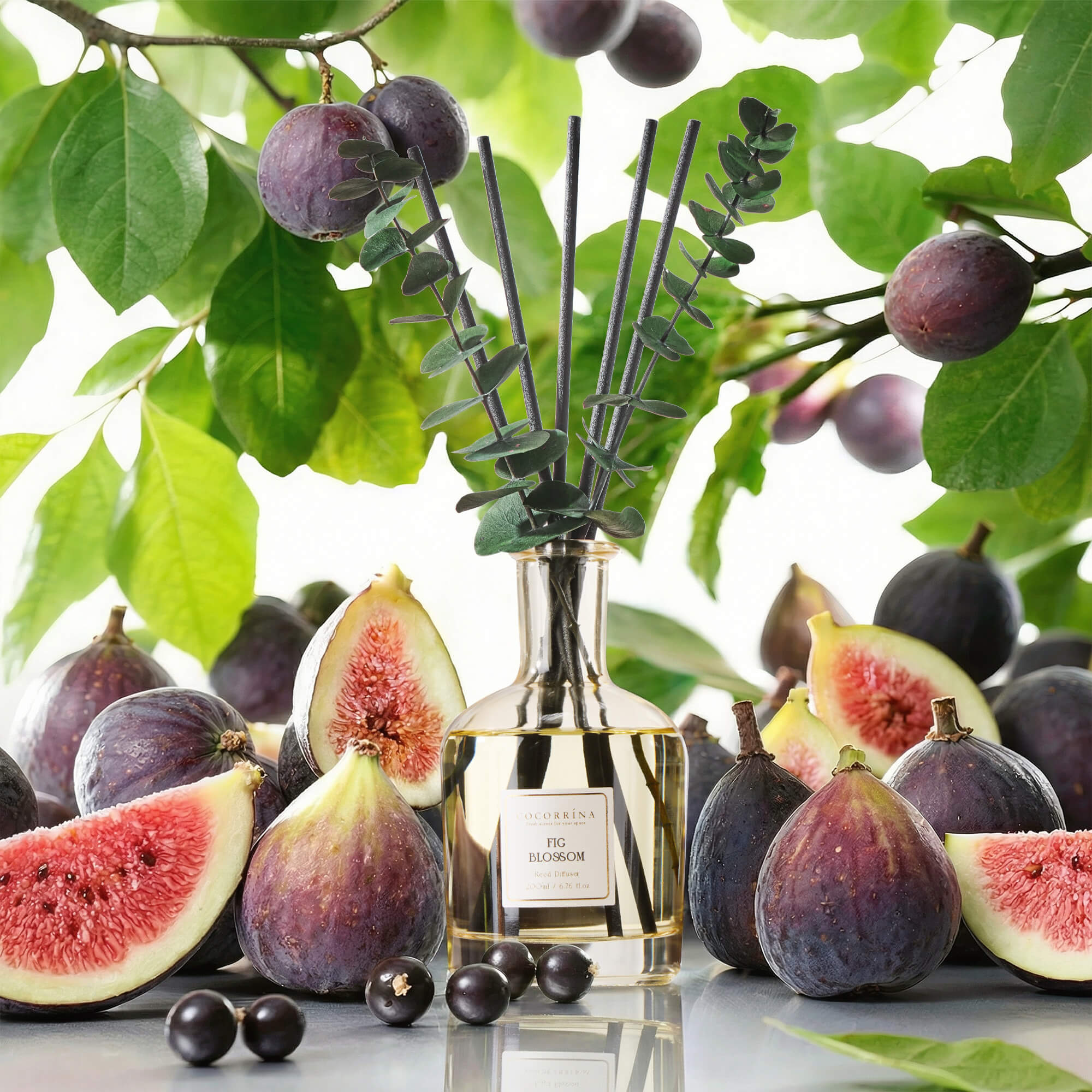 COCORRÍNA Fig Blossom Reed Diffuser
