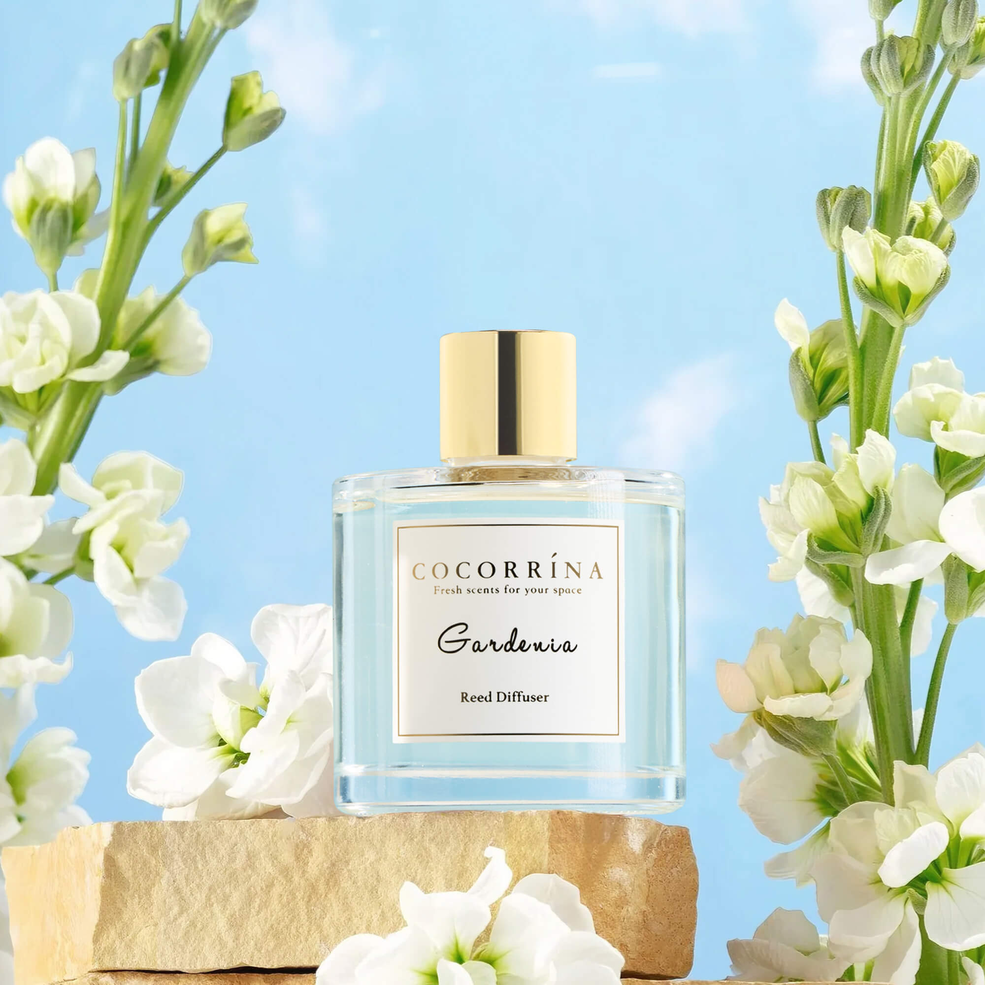 COCORRÍNA  Gardenia Reed Diffuser Set