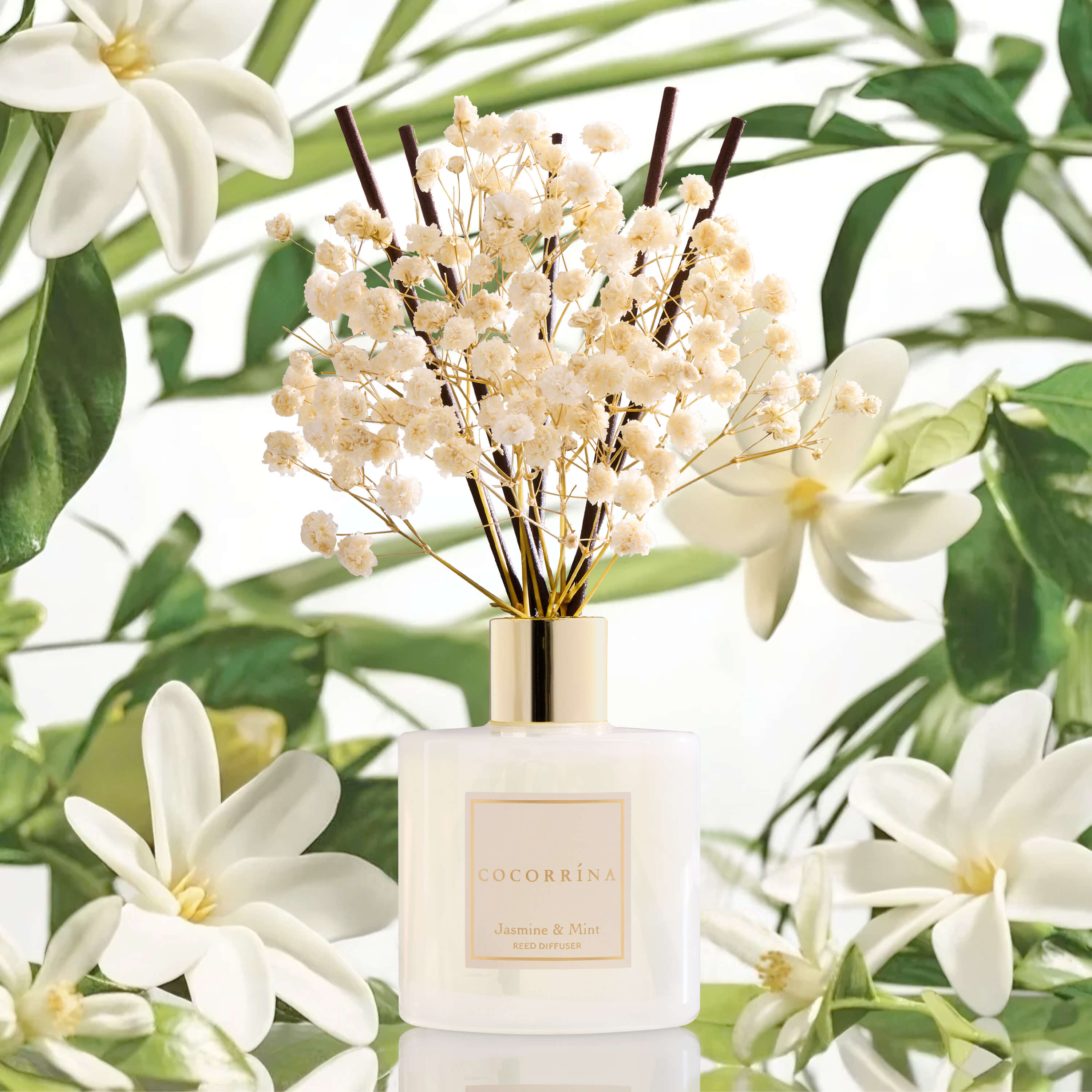 COCORRÍNA Jasmine & Mint Reed Diffuser Set