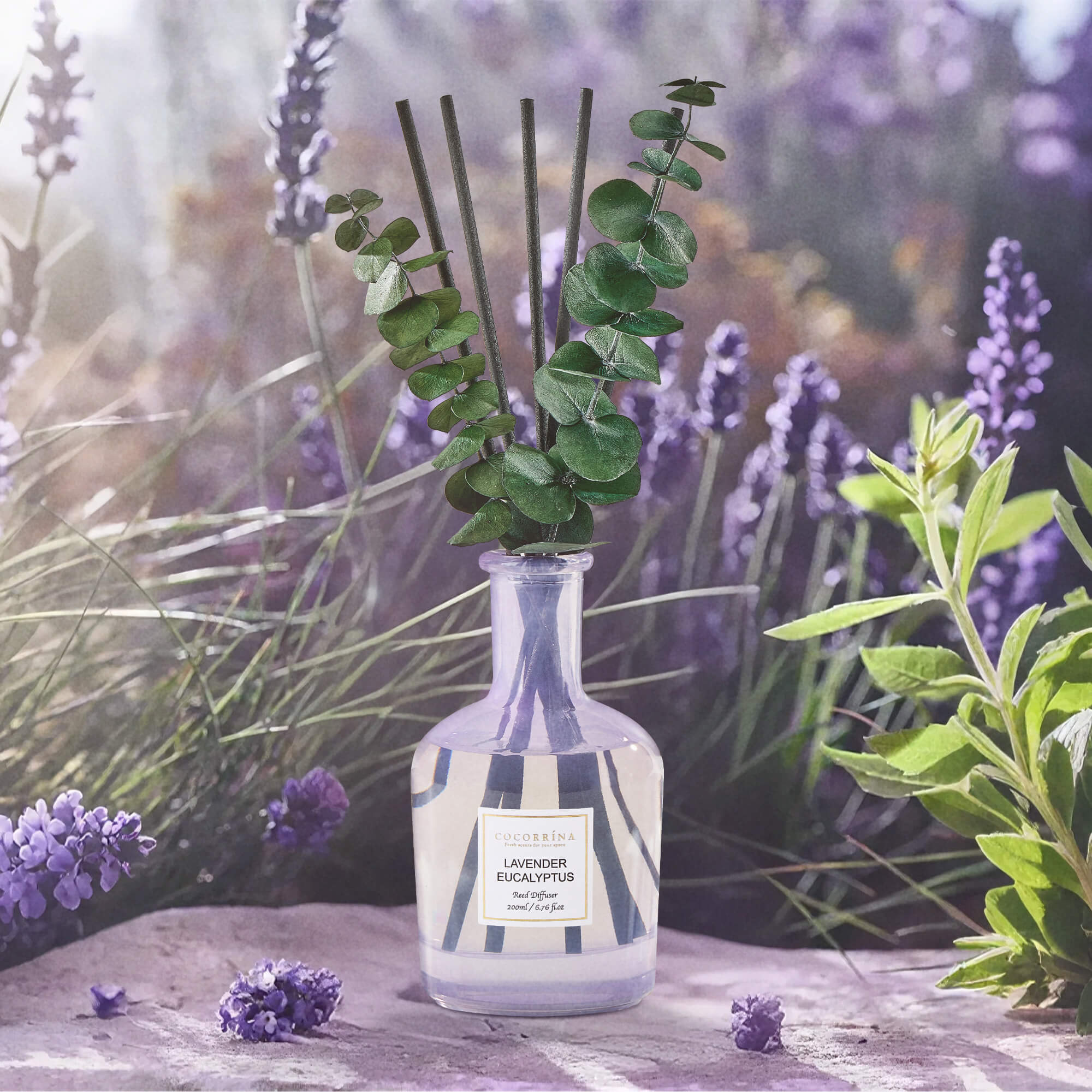COCORRÍNA Lavender Eucalyptus Reed Diffuser Set