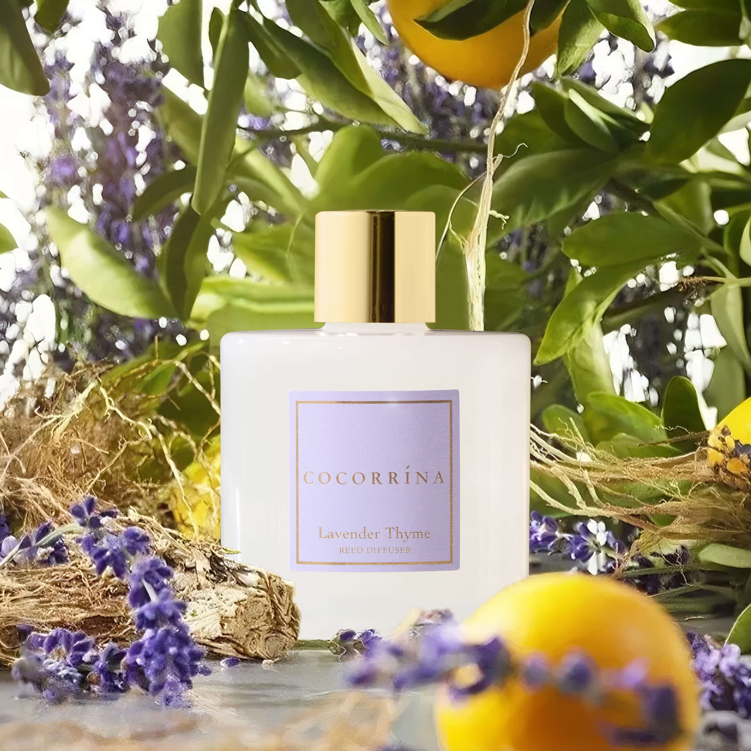 Cocorrína Lavender Thyme Reed Diffuser Set