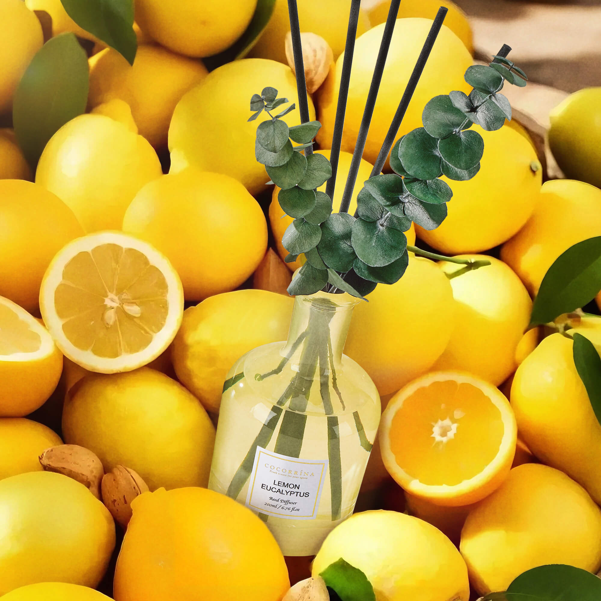 COCORRÍNA Lemon Eucalyptus Reed Diffuser Set