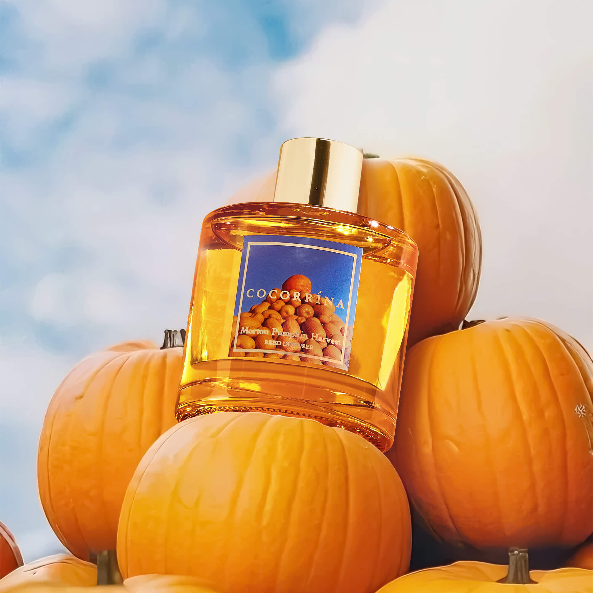 COCORRÍNA Morton Pumpkin Harvest Reed Diffuser Set