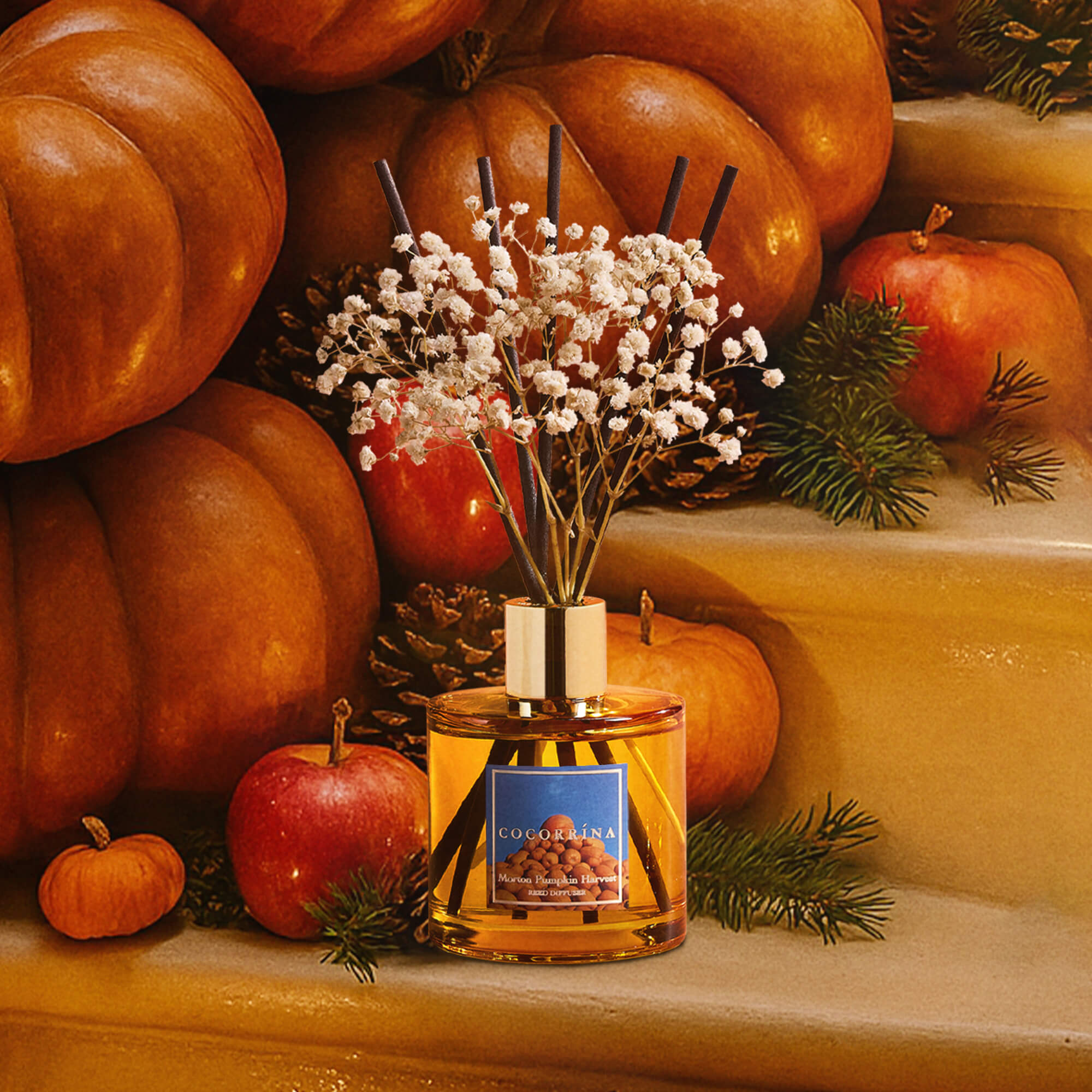 COCORRÍNA Morton Pumpkin Harvest Reed Diffuser Set