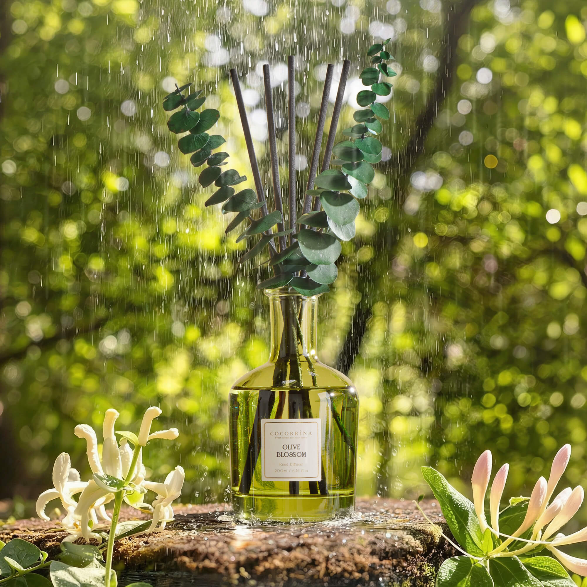 COCORRÍNA Olive Blossom Reed Diffuser Set