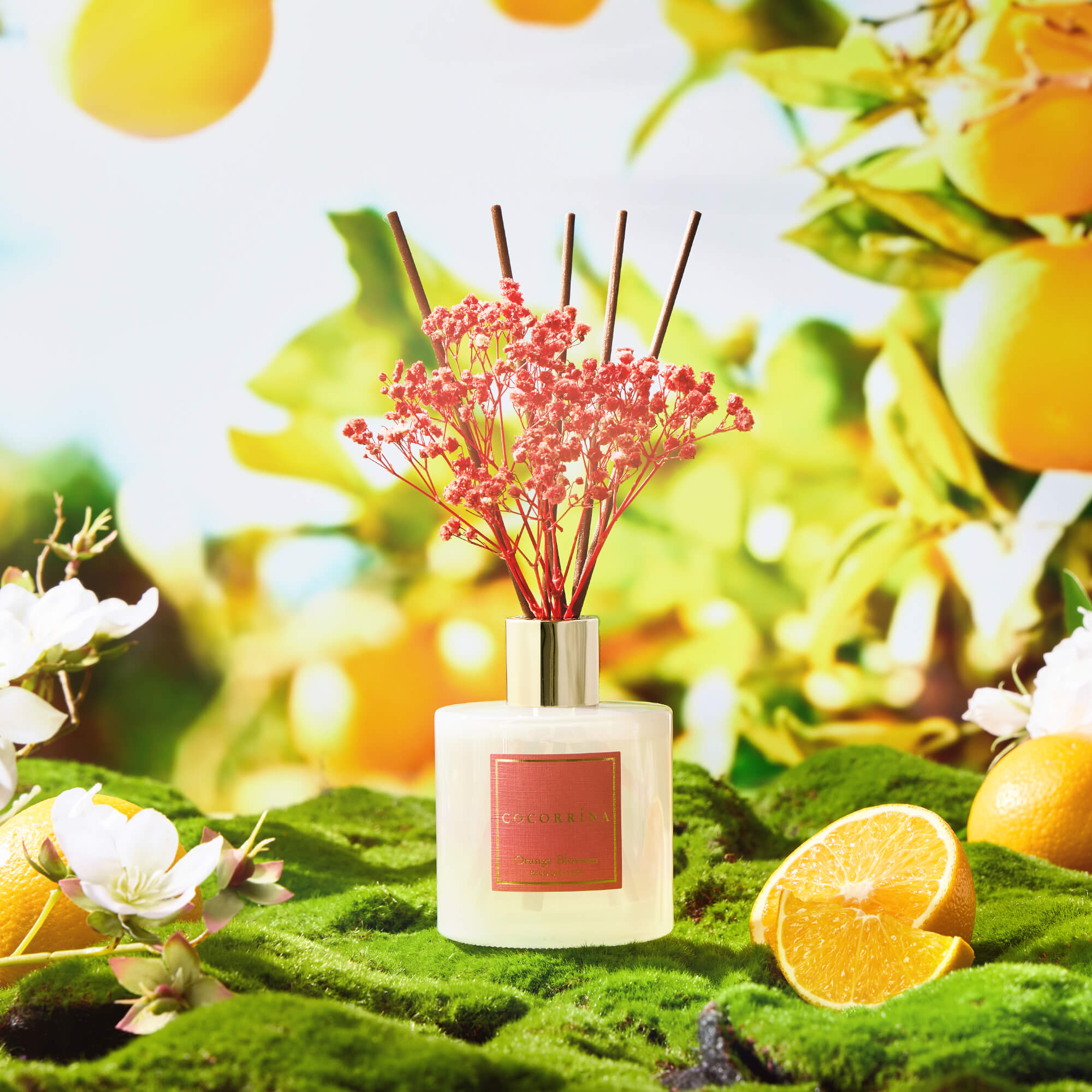 COCORRÍNA Orange Bloosom Reed Diffuser Set