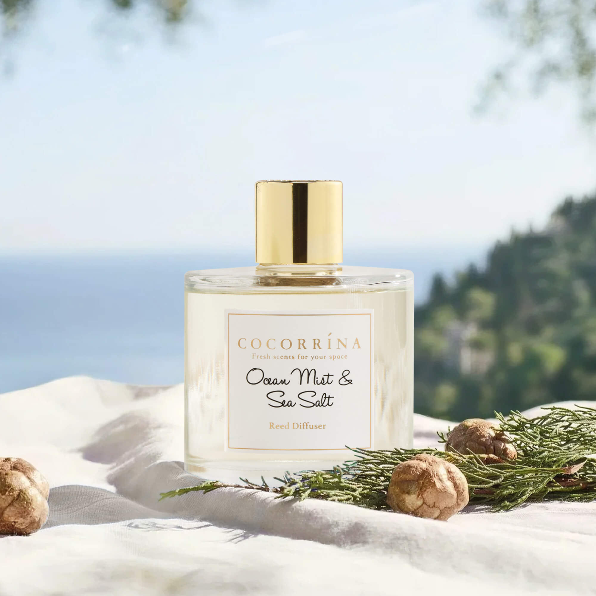 COCORRÍNA Ocean Mist & Sea Salt Reed Diffuser Set