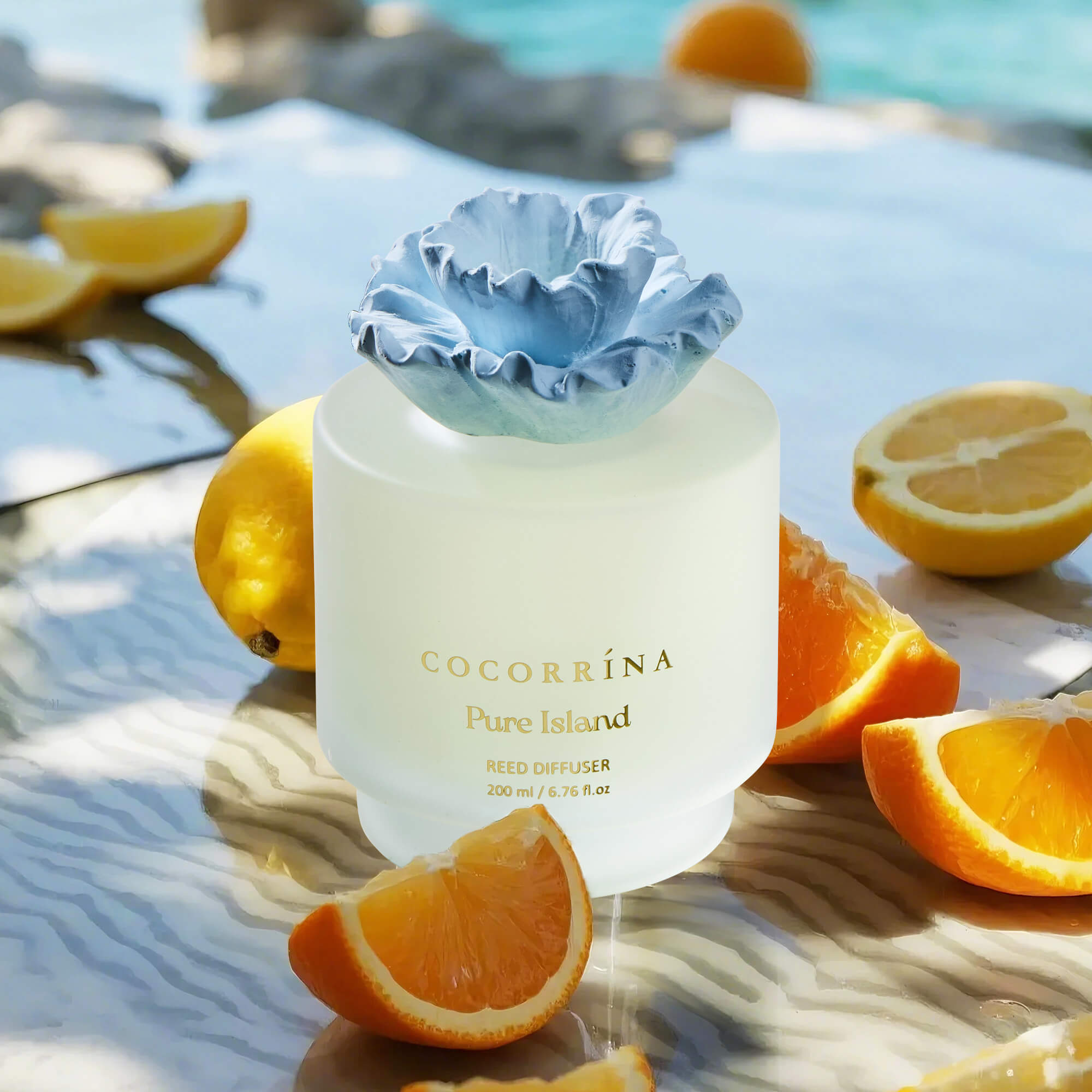 COCORRÍNA Gypsum Flower Pure Island Reed Diffuser