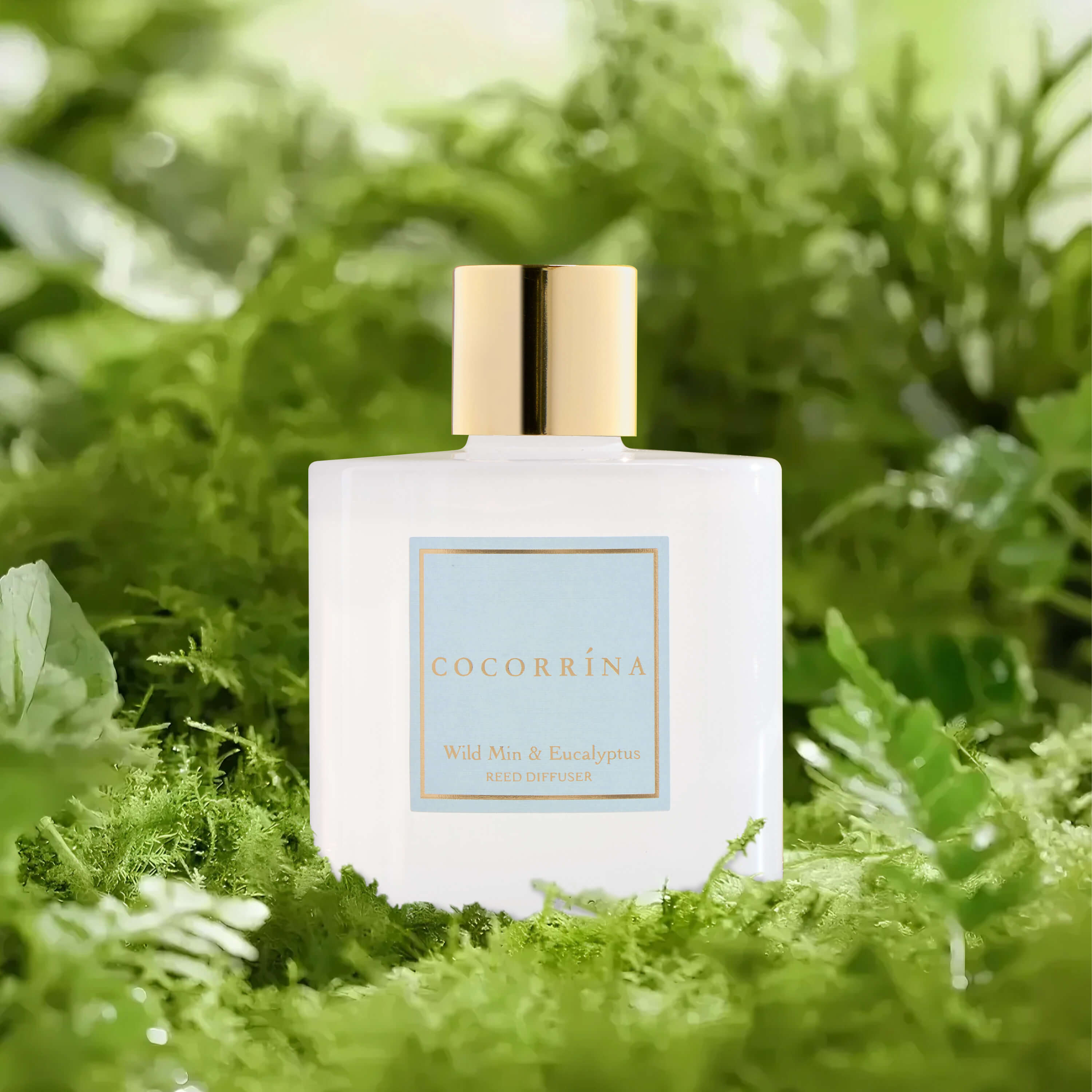 COCORRÍNA Wild Mint & Eucalyptus Reed Diffuser Set