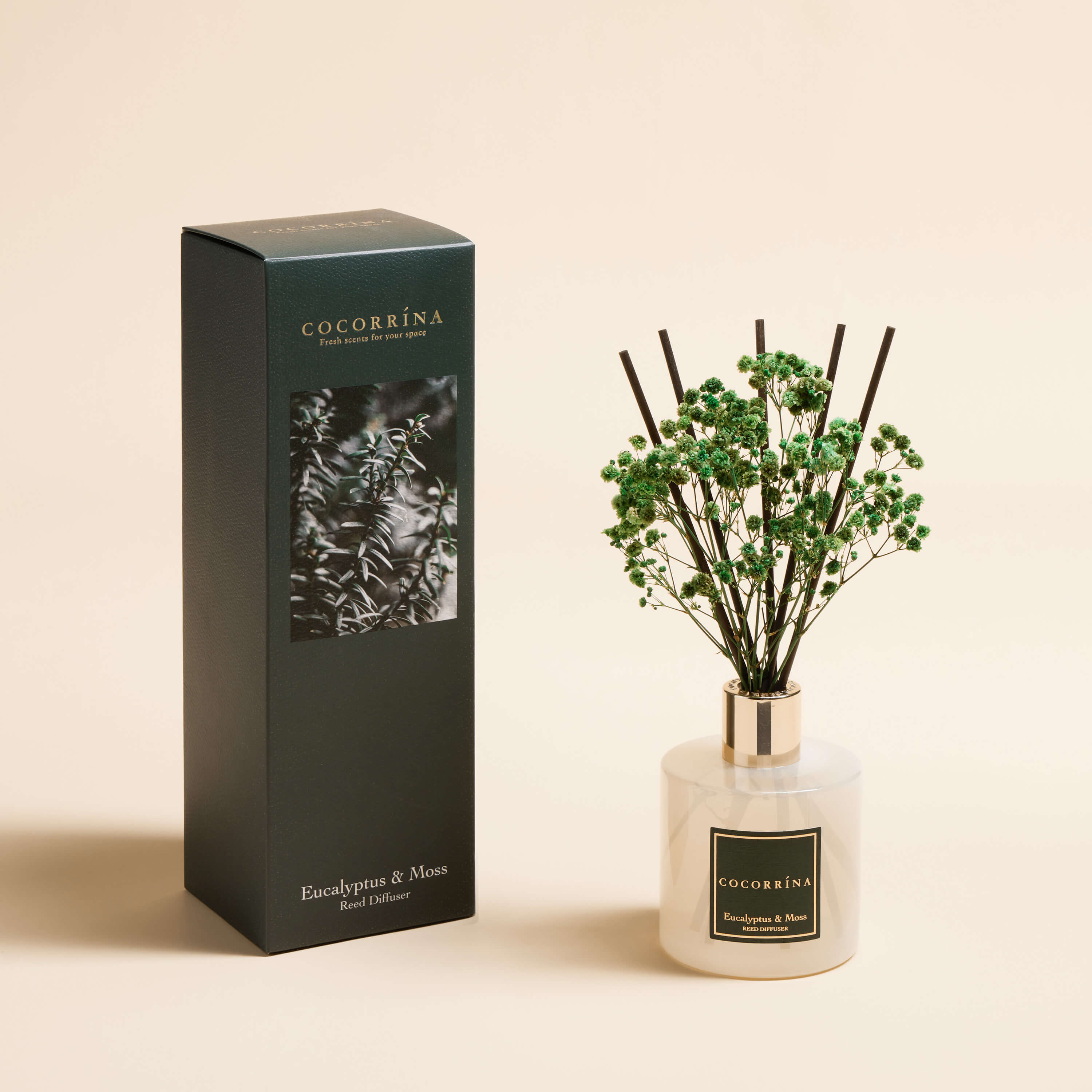 COCORRÍNA Eucalyptus & Moss Reed Diffuser Set