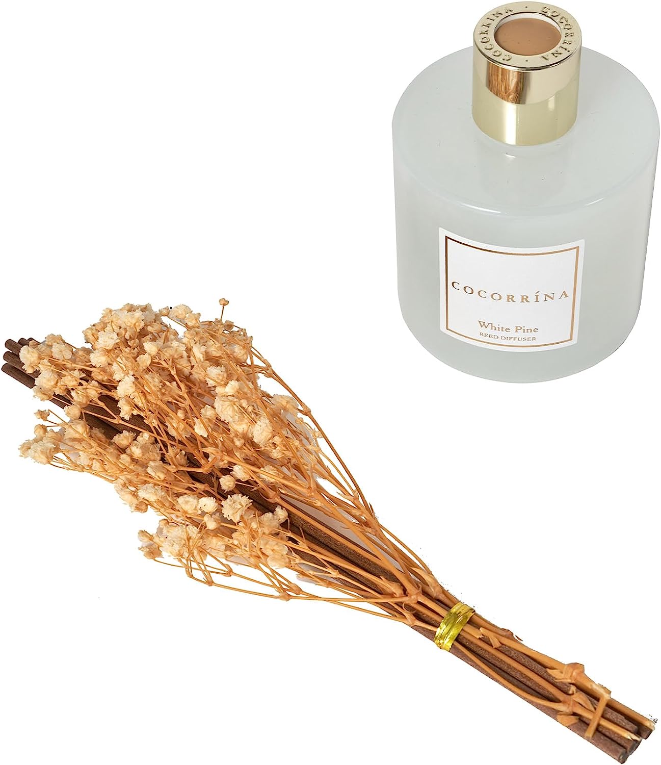 Cocorrína Mossy Pine Reed Diffuser Set w Preserved Baby's Breath