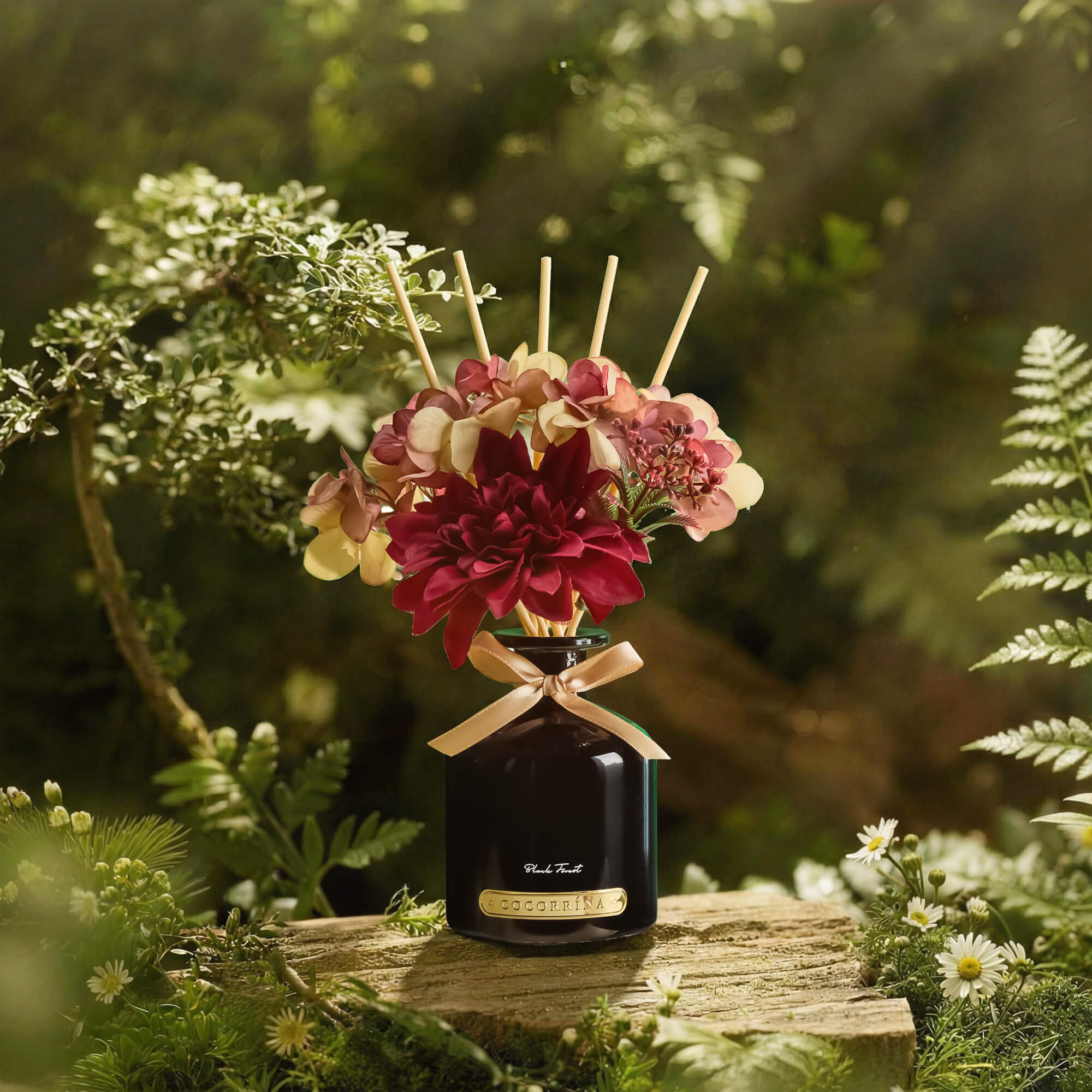 COCORRÍNA Black Forest Reed Diffuser Set