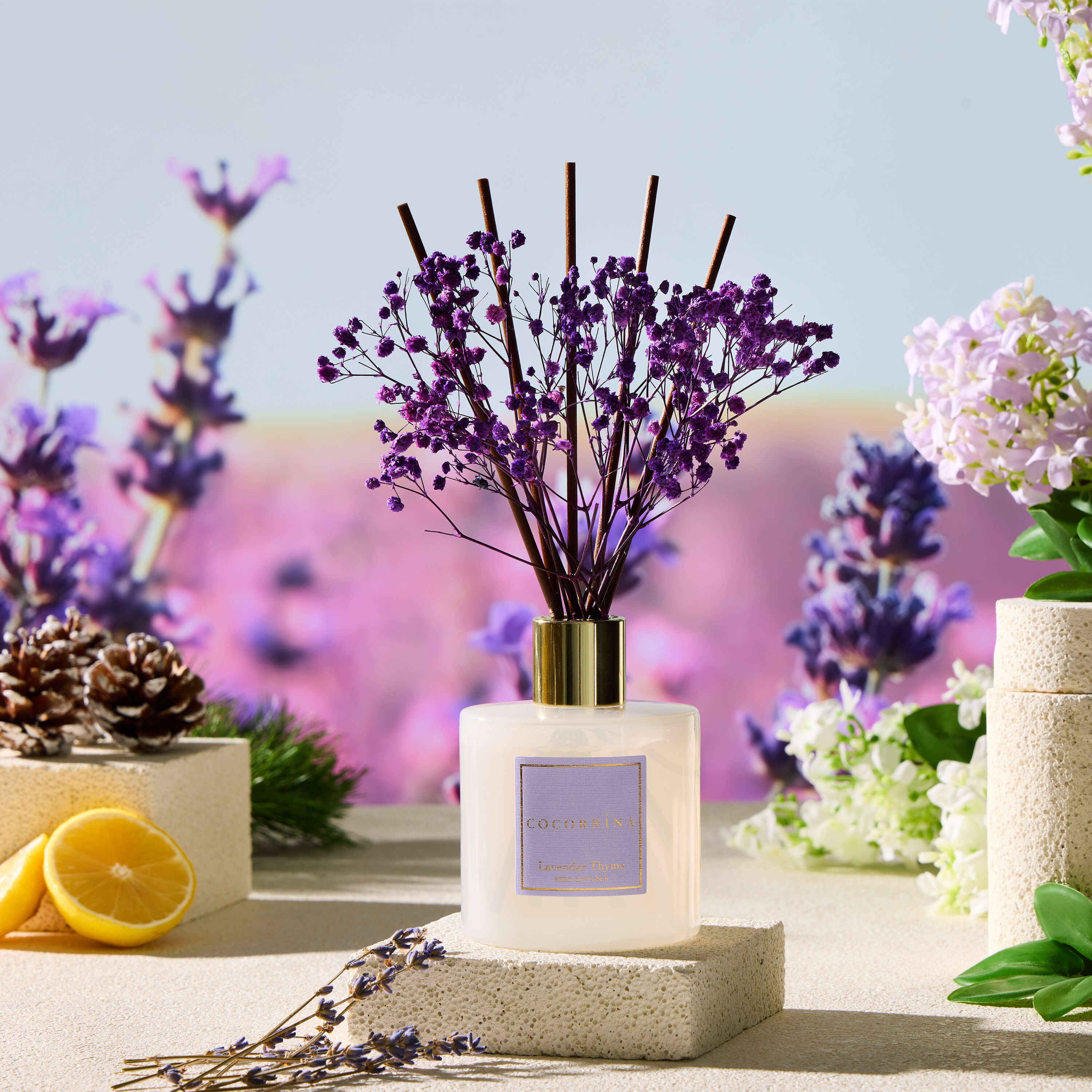 COCORRÍNA Lavender Thyme Reed Diffuser Set