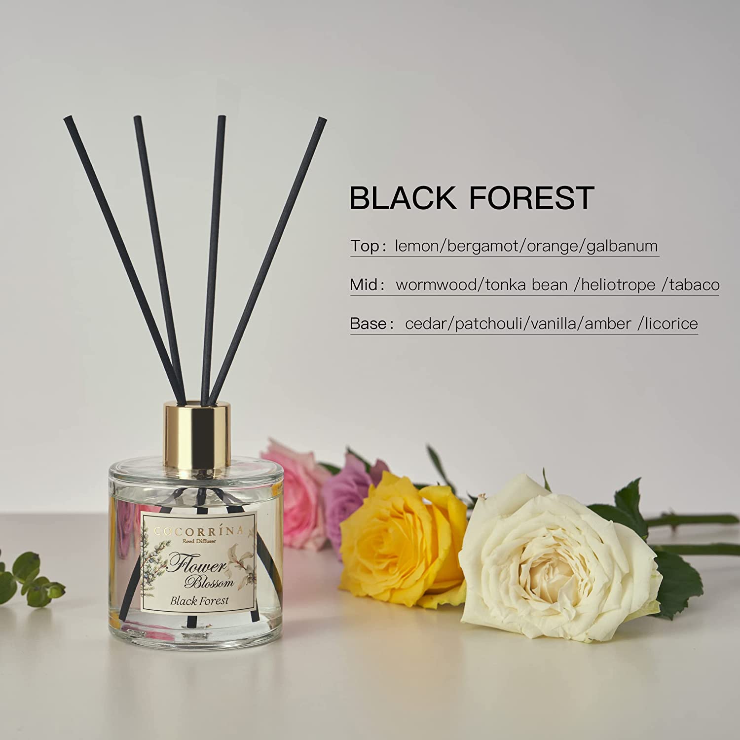 Ensemble diffuseur de roseaux fleur forêt noire COCORRÍNA