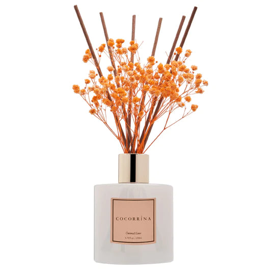 COCORRÍNA Coconut Lime Reed Diffuser Set of 2