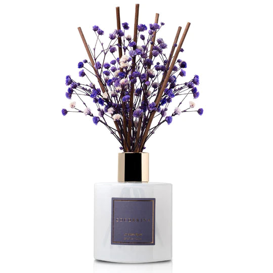 COCORRÍNA Lavender Thyme Reed Diffuser Set of 2