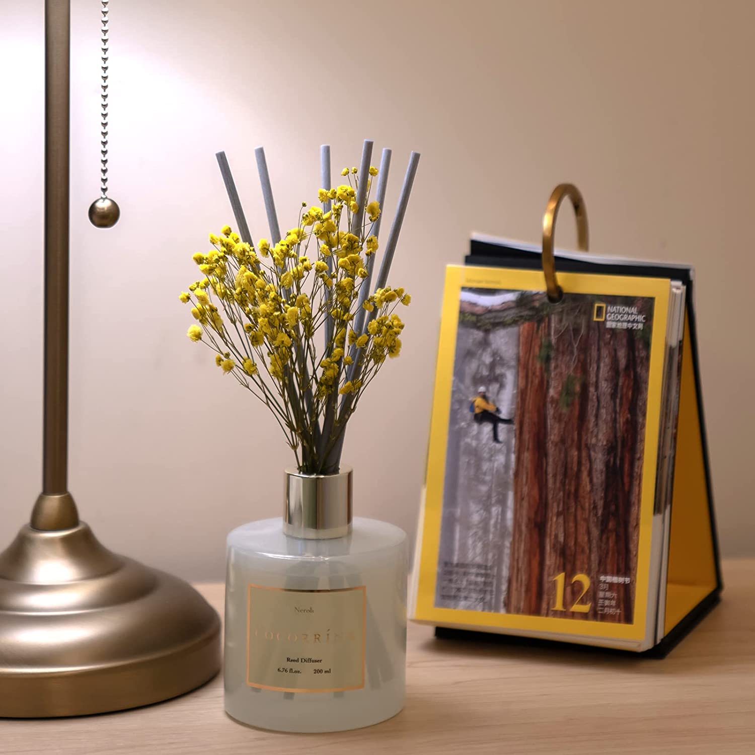 reed diffuser for home