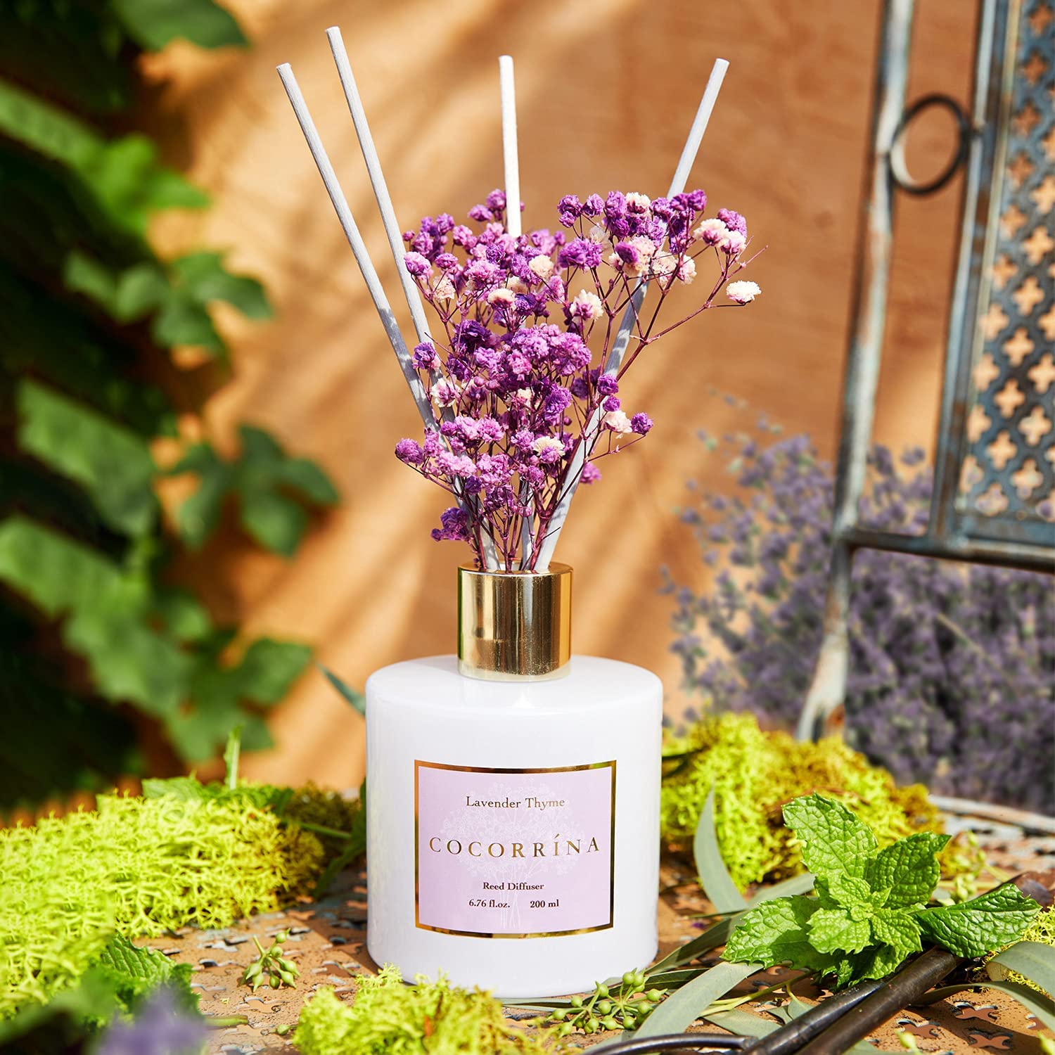 Cocorrína Lavender Thyme Scented Reed Diffuser Oil Refill with 8 Free Cotton Reed Sticks, Home Fragrance for Bedroom, Bathroom, Oil Diffuser Home